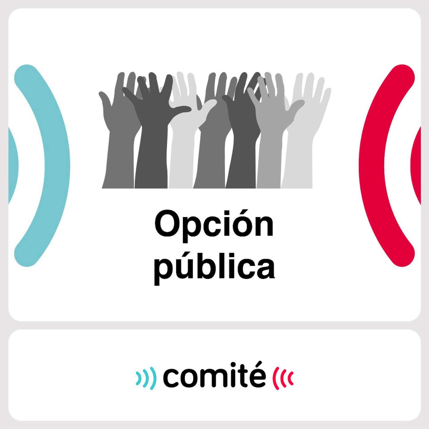 Opción Pública