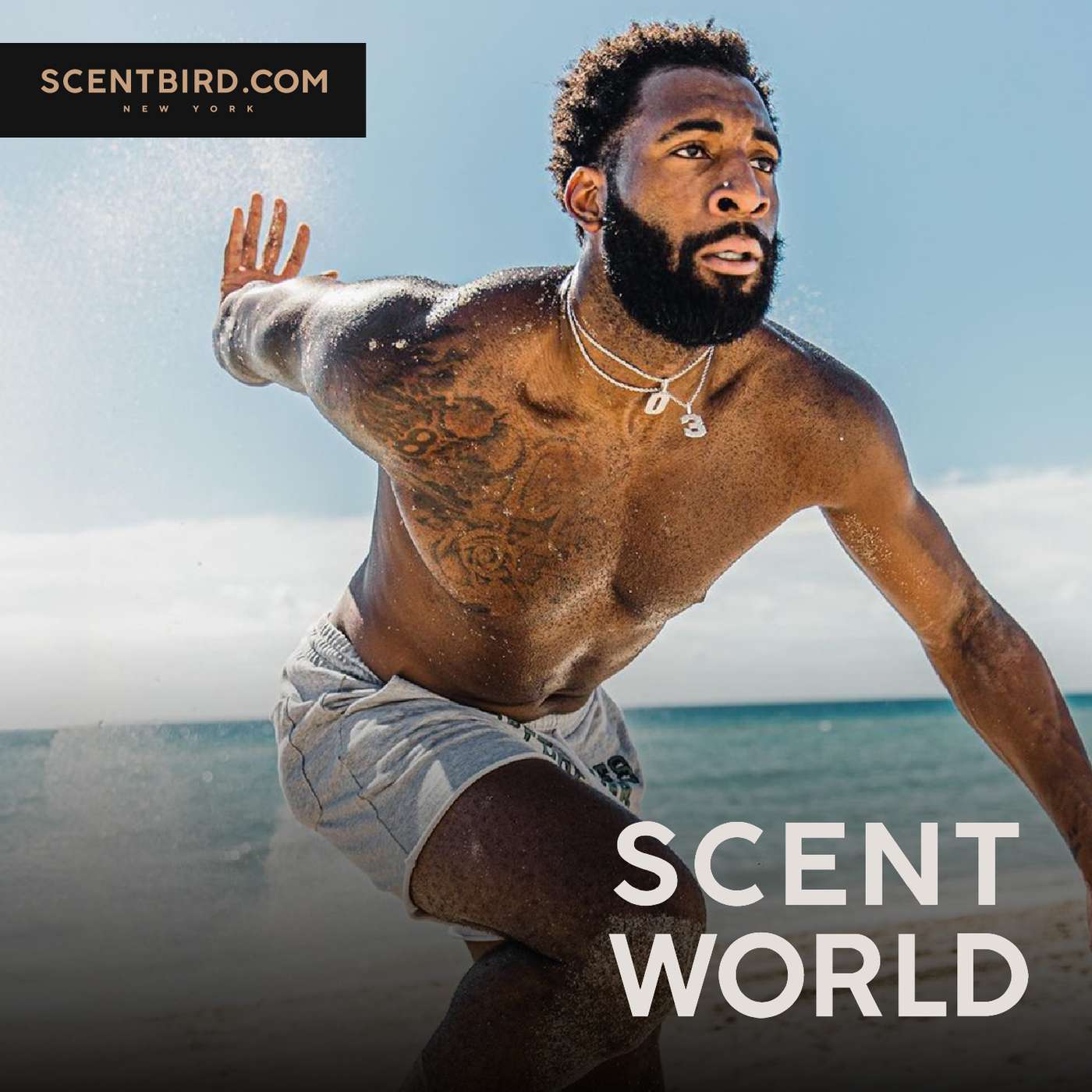 Scent World