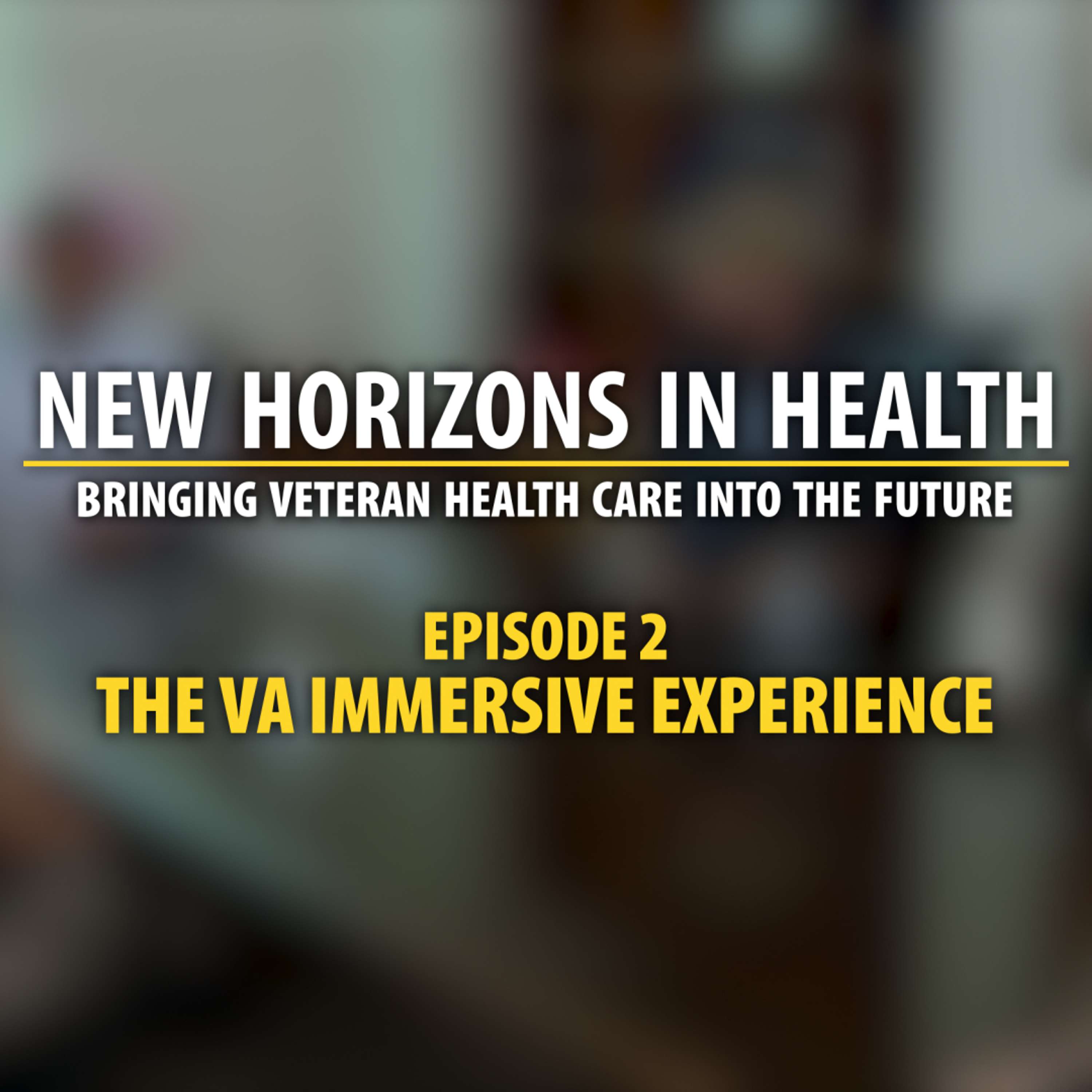 The VA Immersive Experience