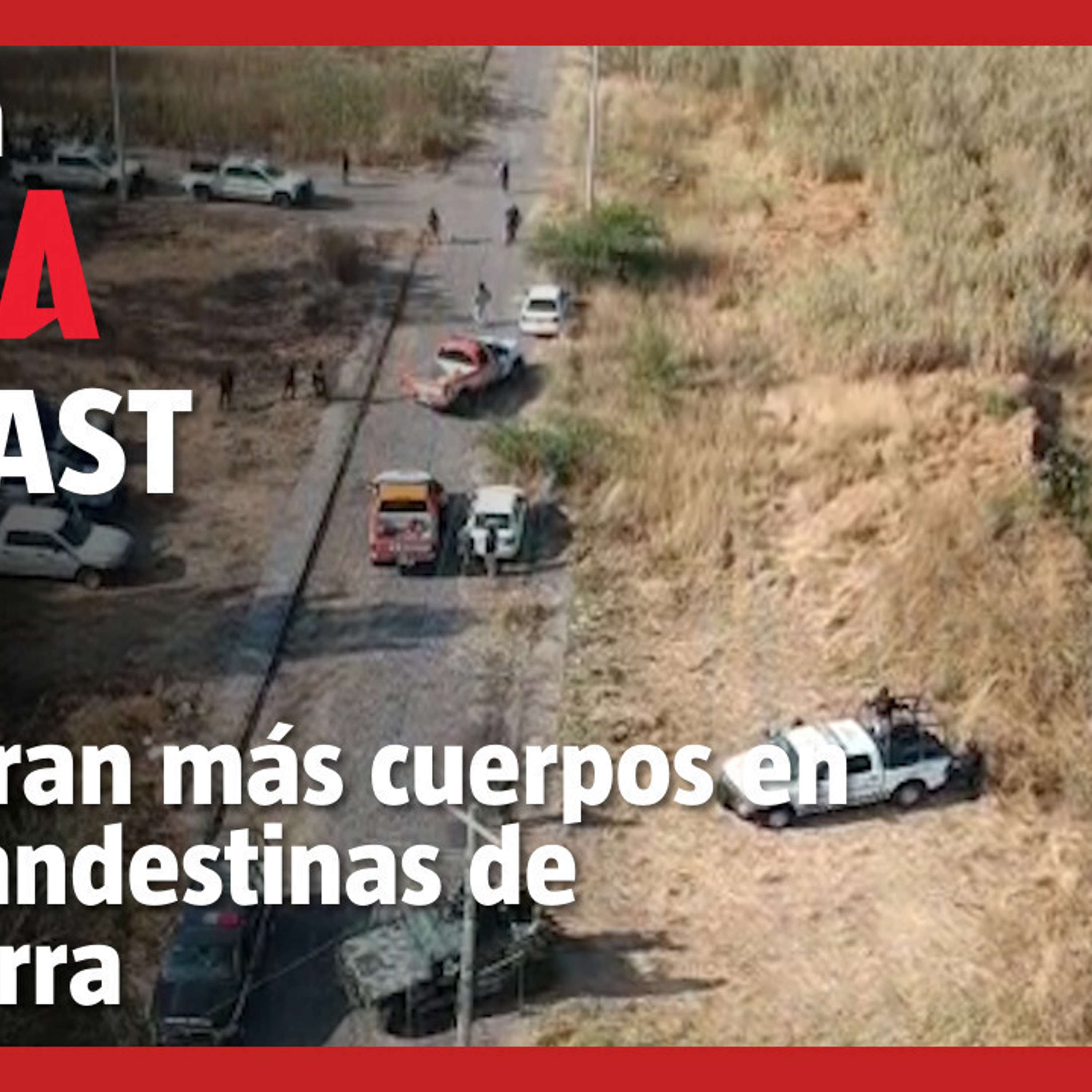 Patrulla Al Día