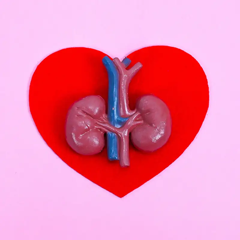 The Link Between the Heart and the Kidneys: Cardiovascular Kidney Metabolic Syndrome