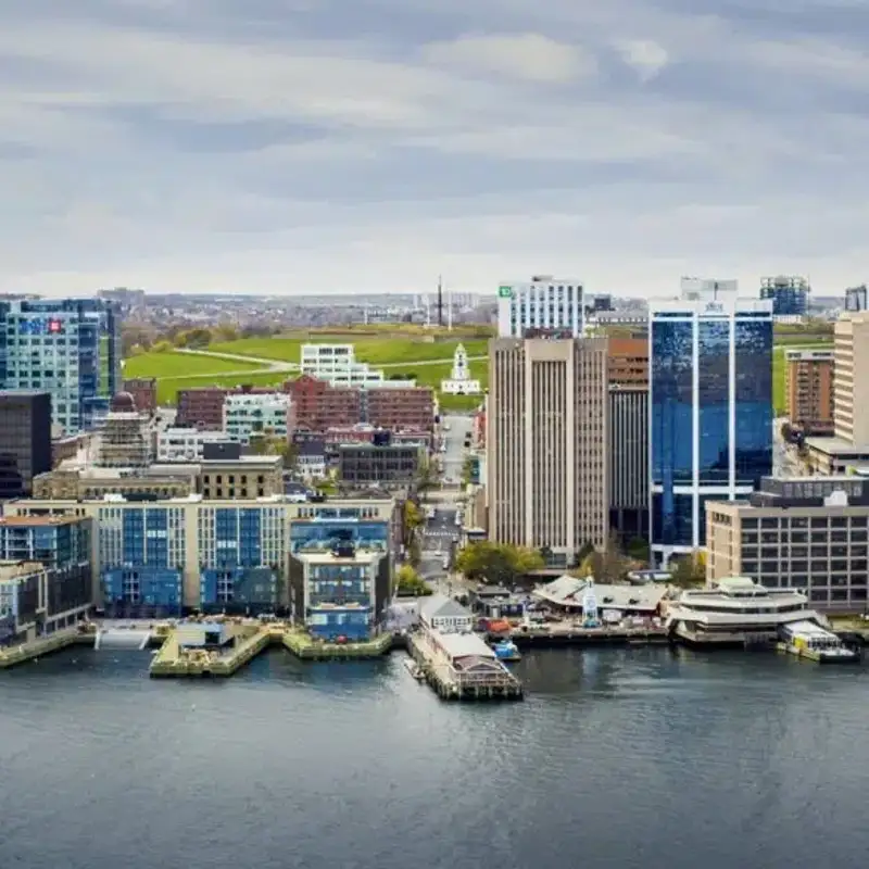 From one to many: The inspiring journey of the growing Bertossi Group