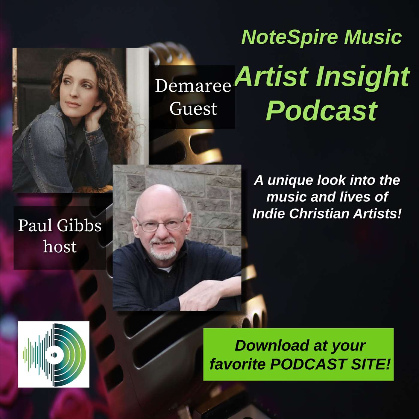Artist Insight Podcast With Guest Demaree
