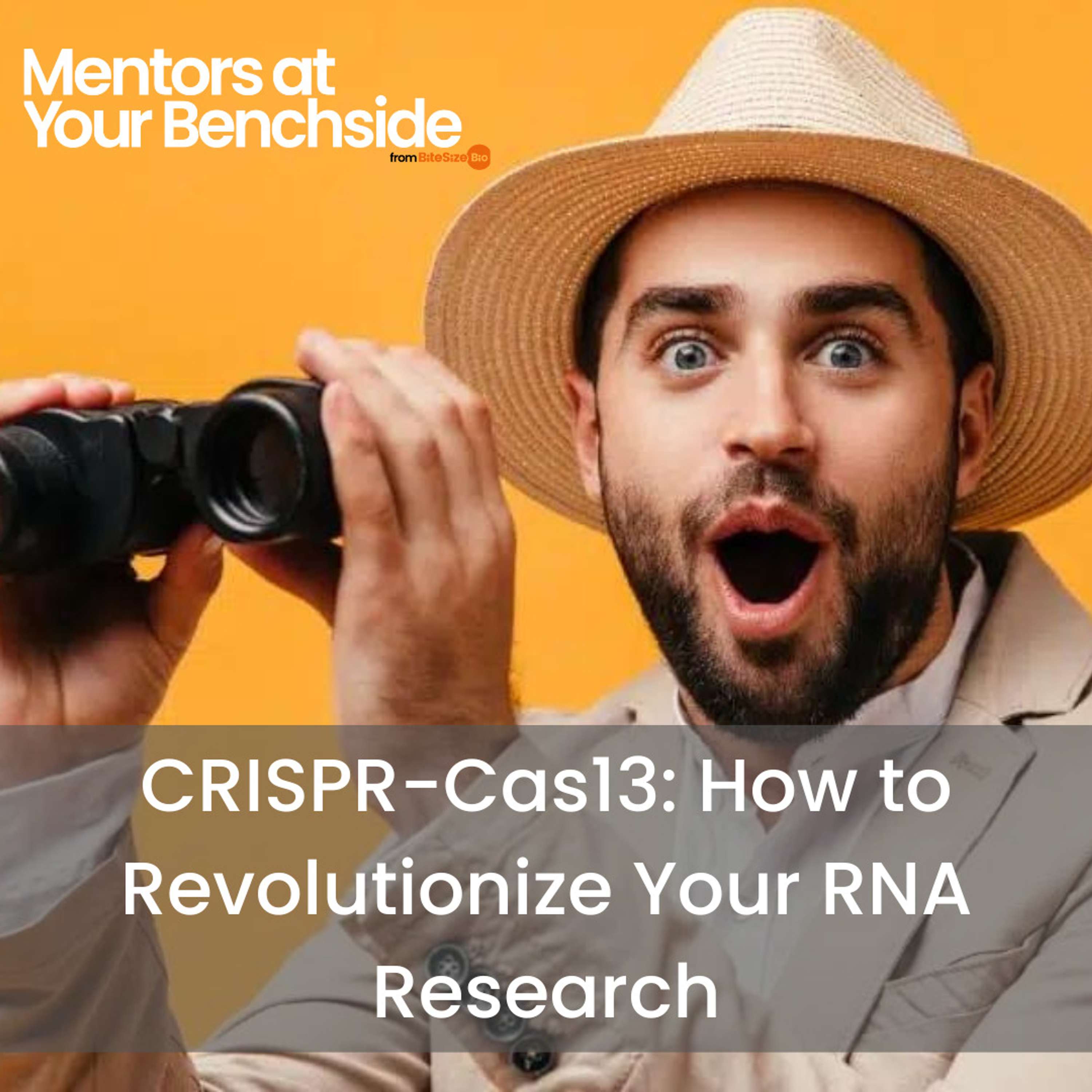 Mentors at Your Benchside
