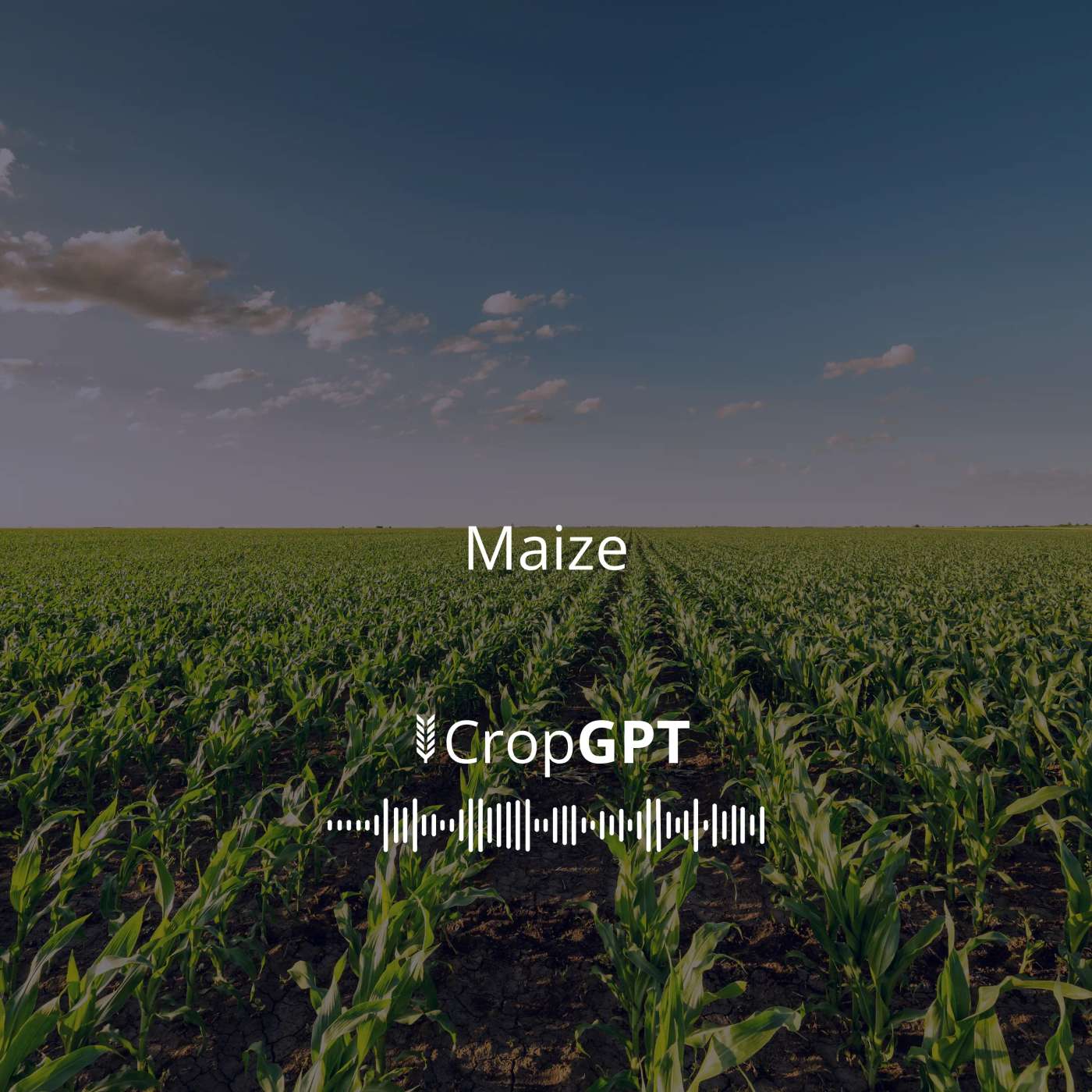 CropGPT - Grains
