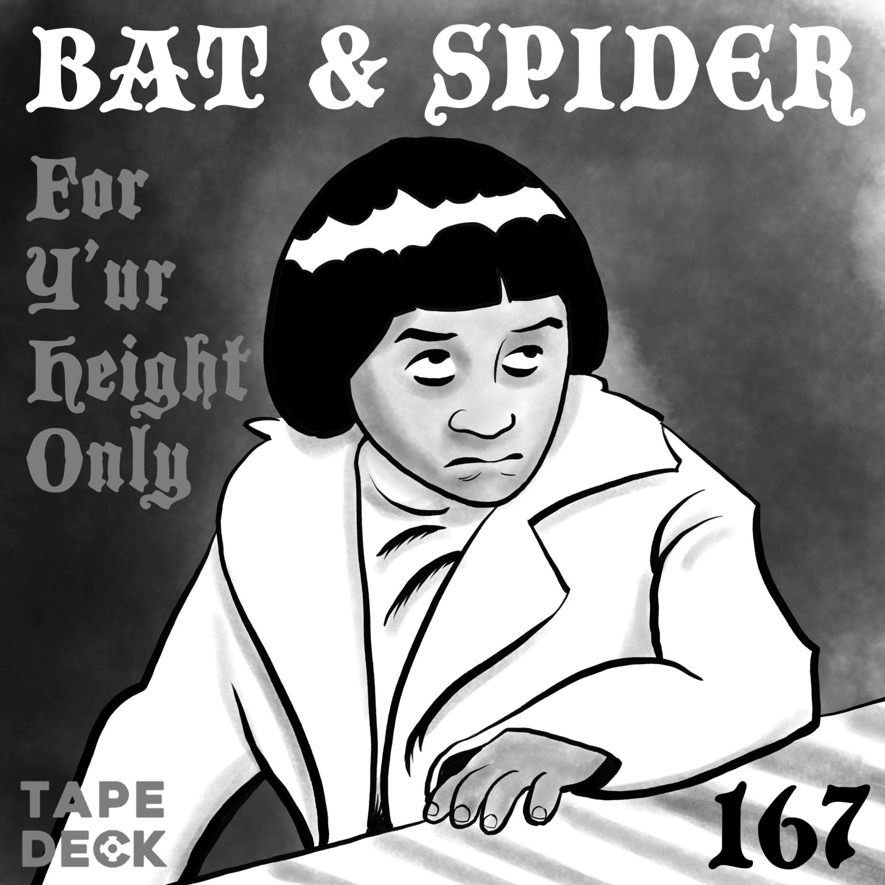 BAT AND SPIDER