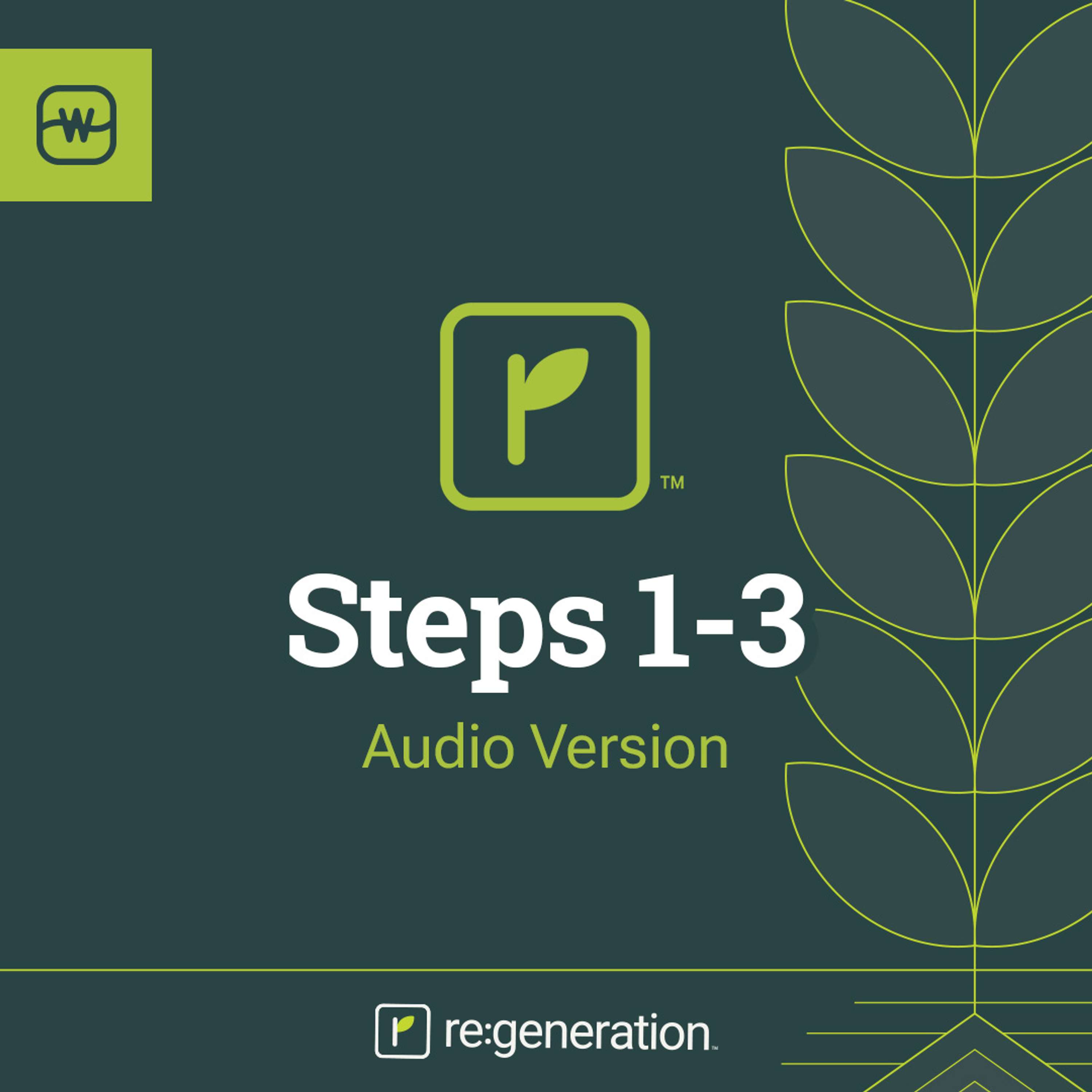 re:generation Steps 1-3