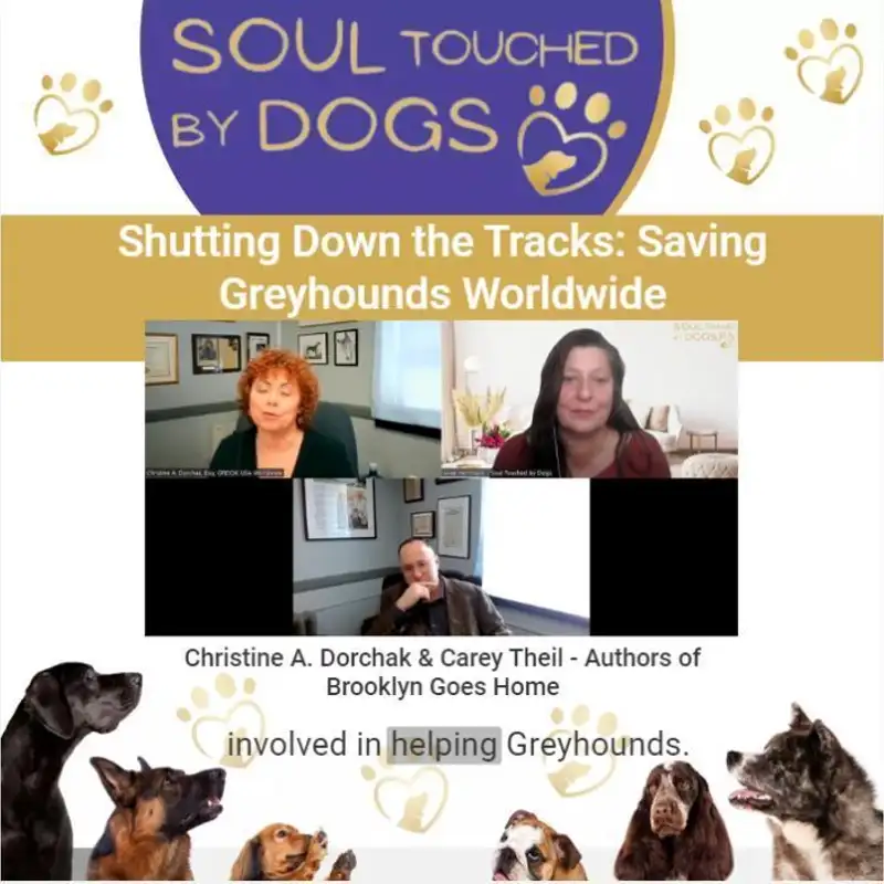 Carey Theil + Christine A. Dorchak - Shutting Down the Tracks: Saving Greyhounds Worldwide