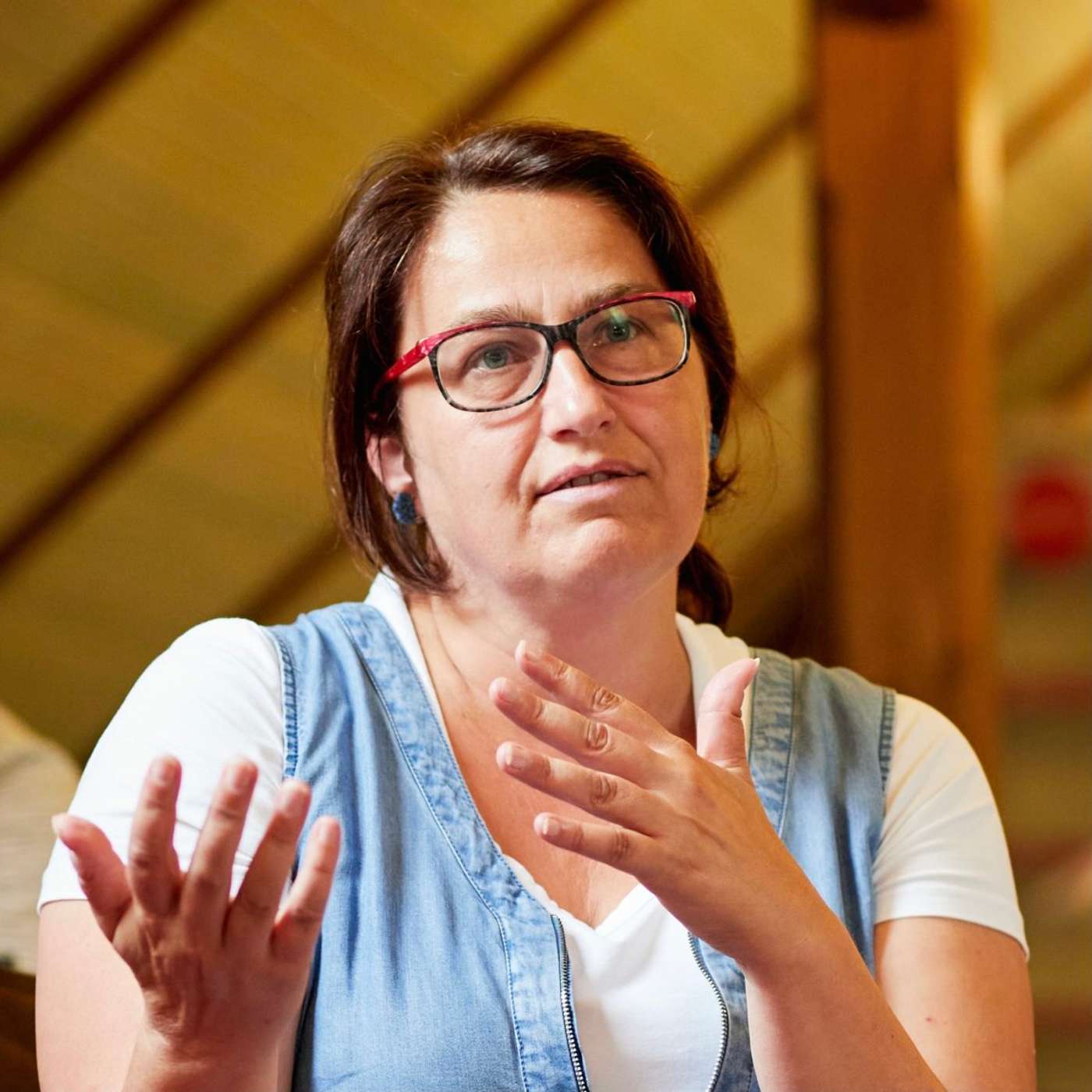 Škola DIGI IN - podcast NPI ČR