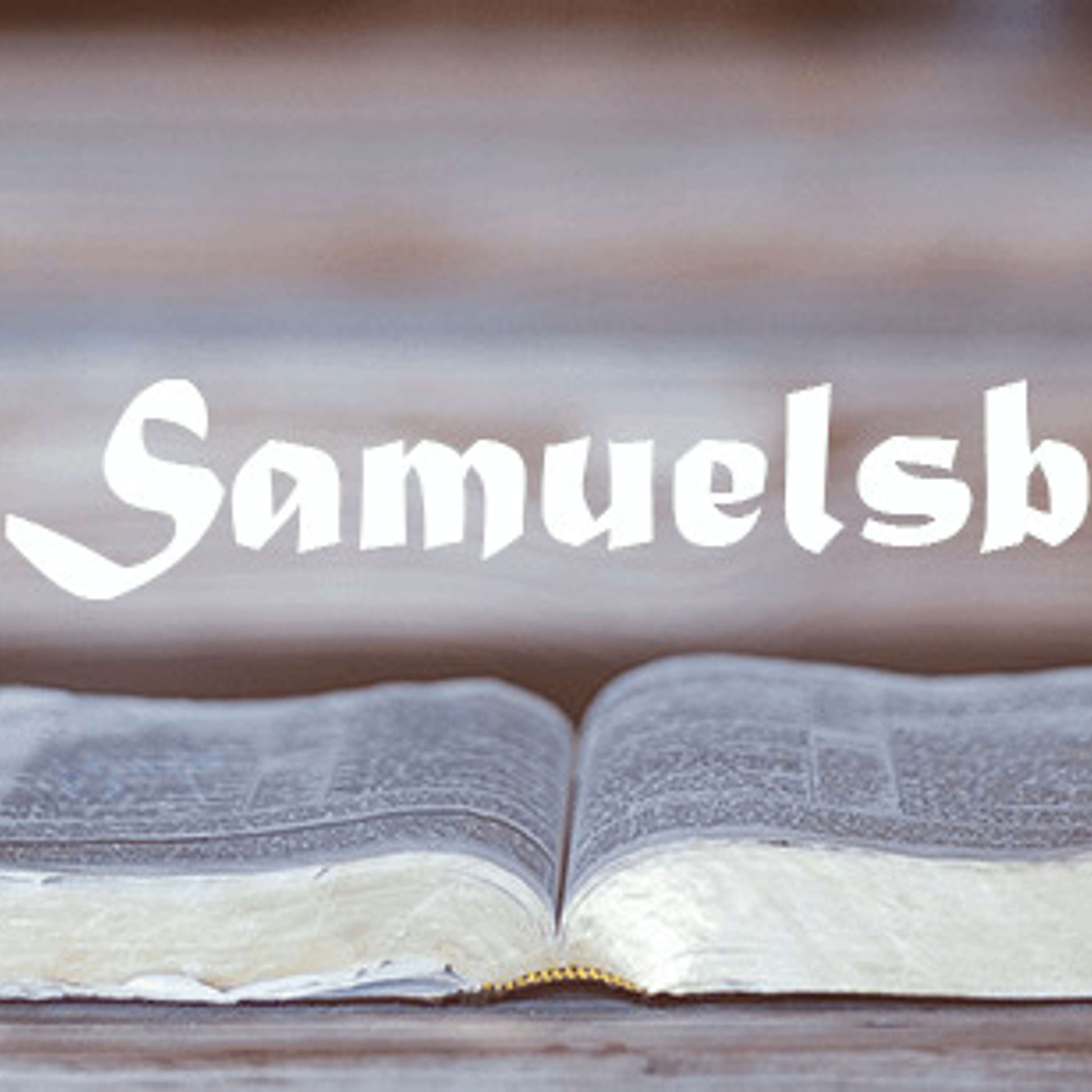 Bibelguiden: Andre Samuelsbok