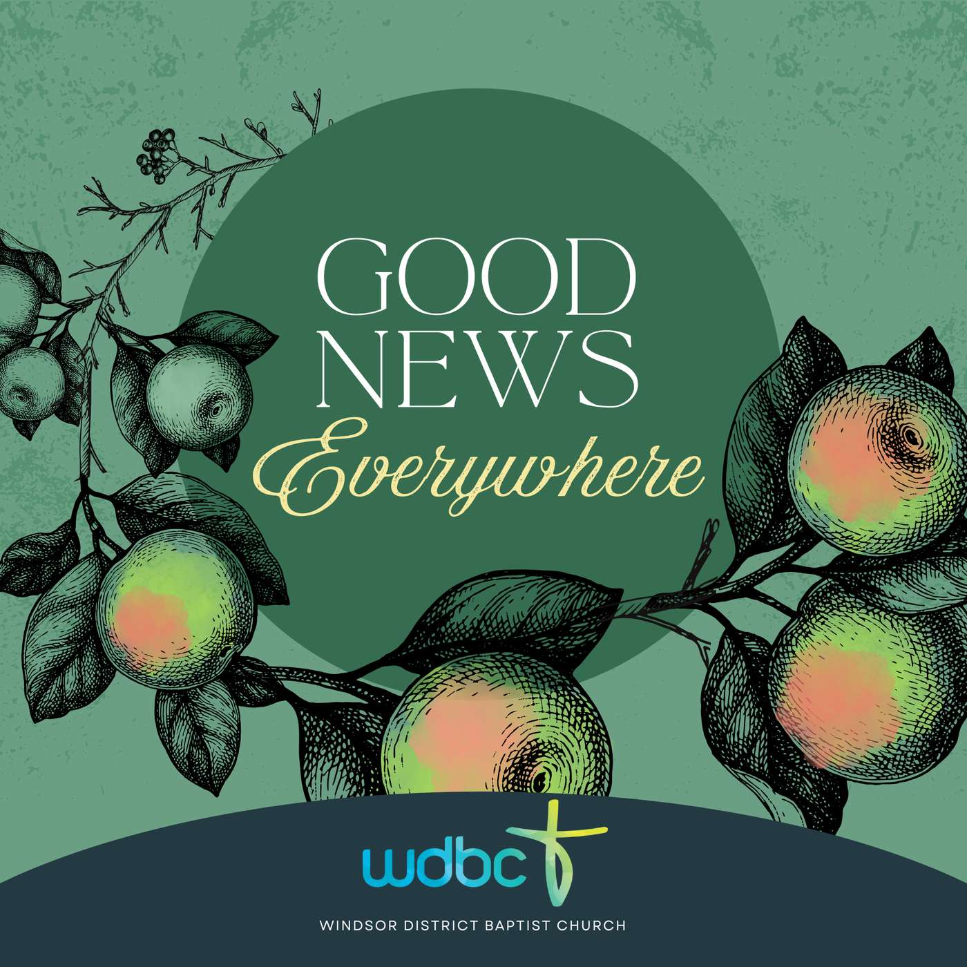 Good News Everywhere #4 | Reconciled by Christs Blood