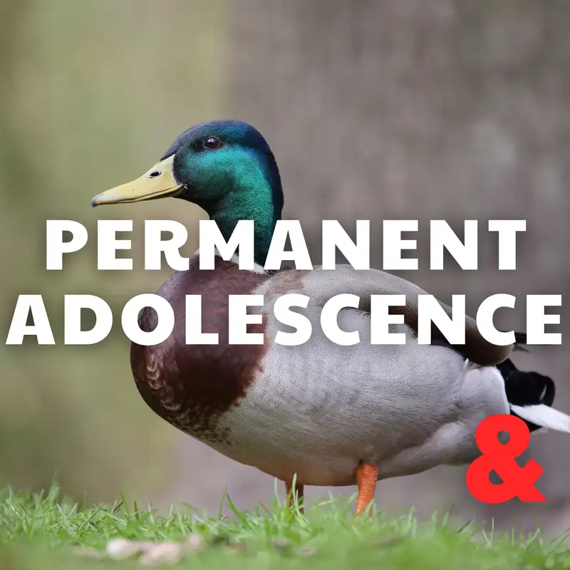 Permanent Adolescence