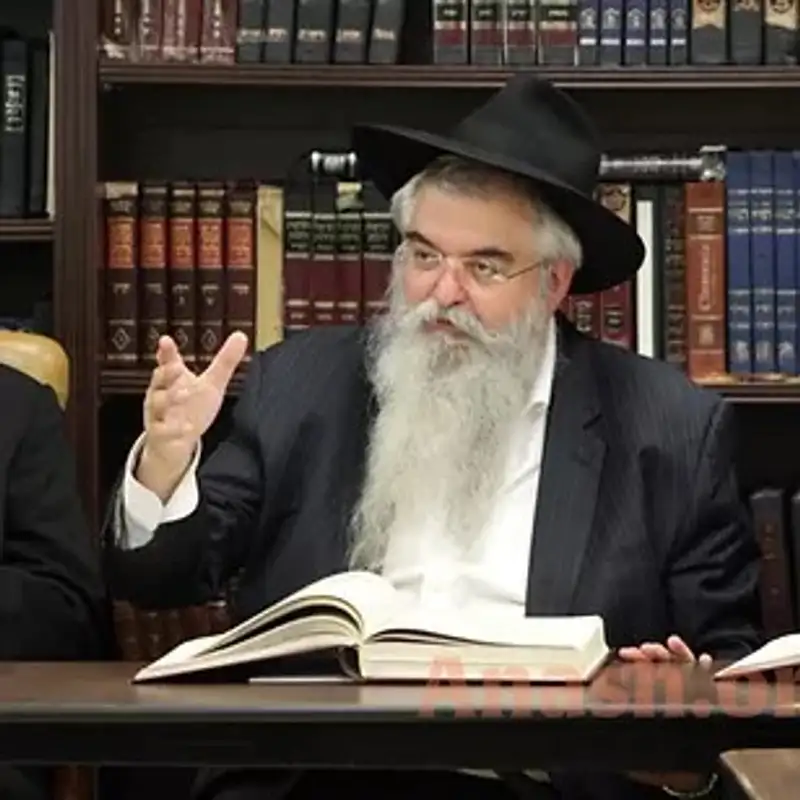 Rabbi Zushe Wilhelm, In-Depth Shiur - Sicha 1, Part 2