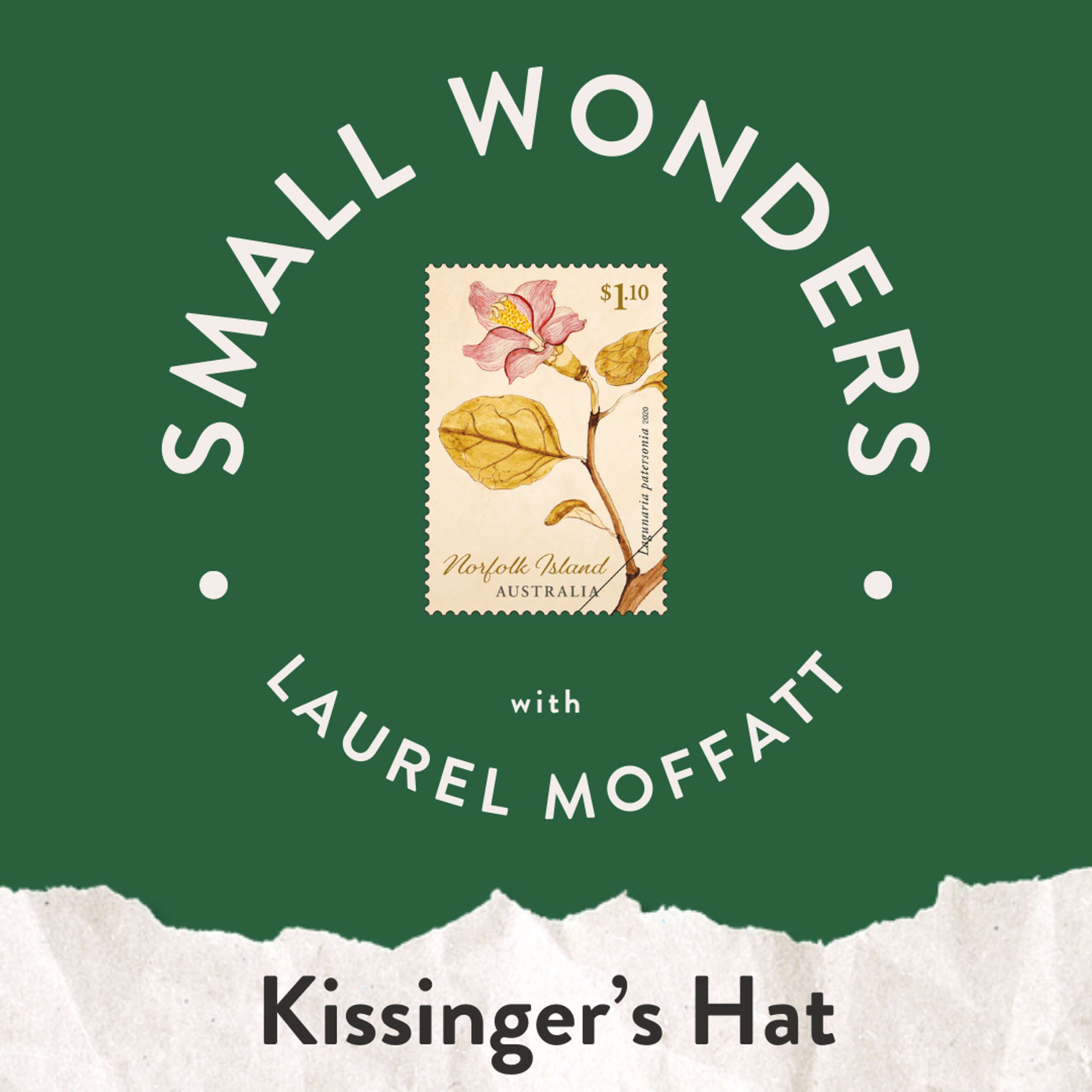 Small Wonders