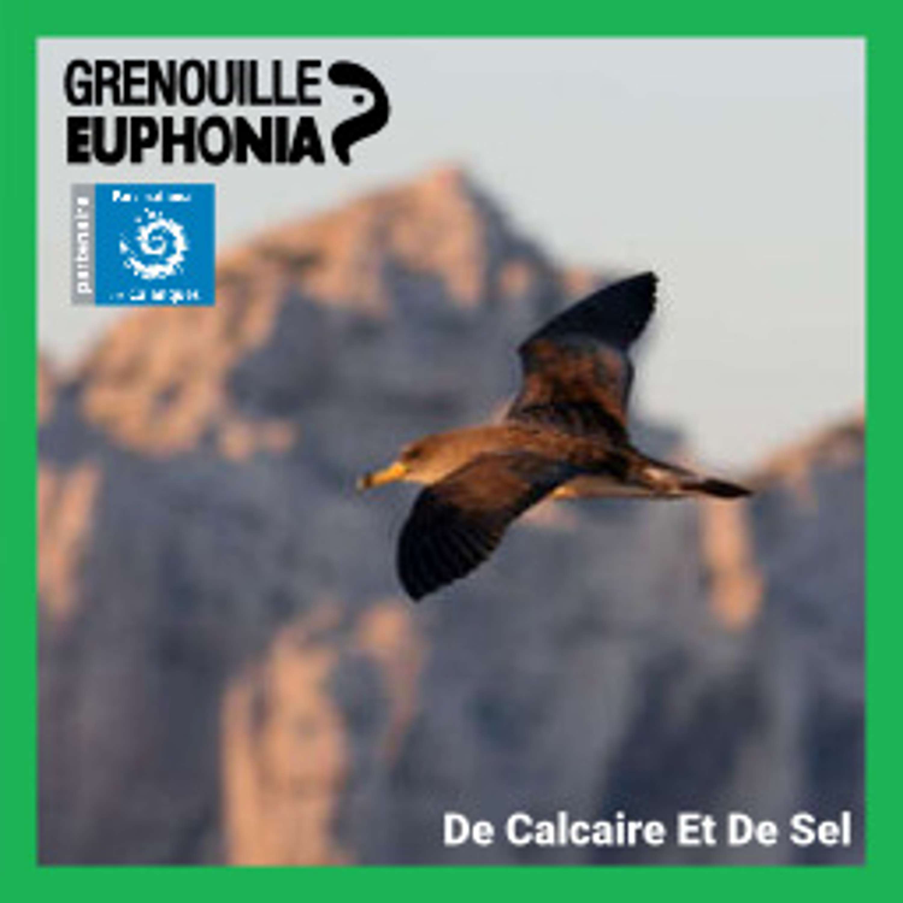 De calcaire et de sel | Les oiseaux marins des archipels