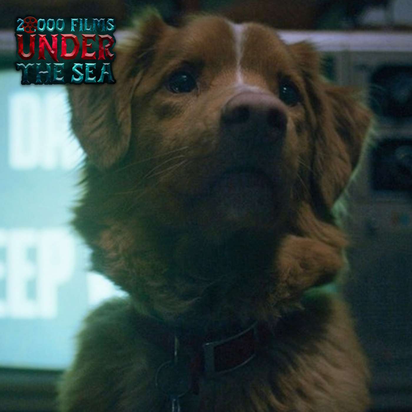 "Good Boy" Movie Review