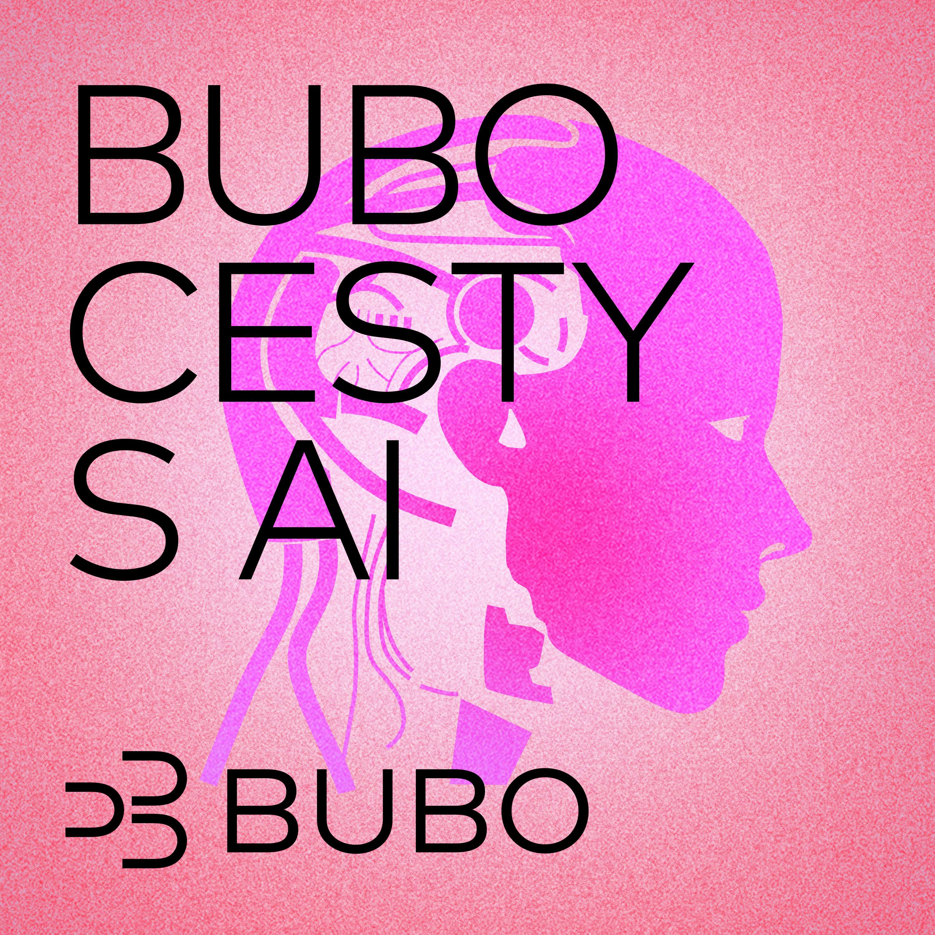 BUBO cesty s AI