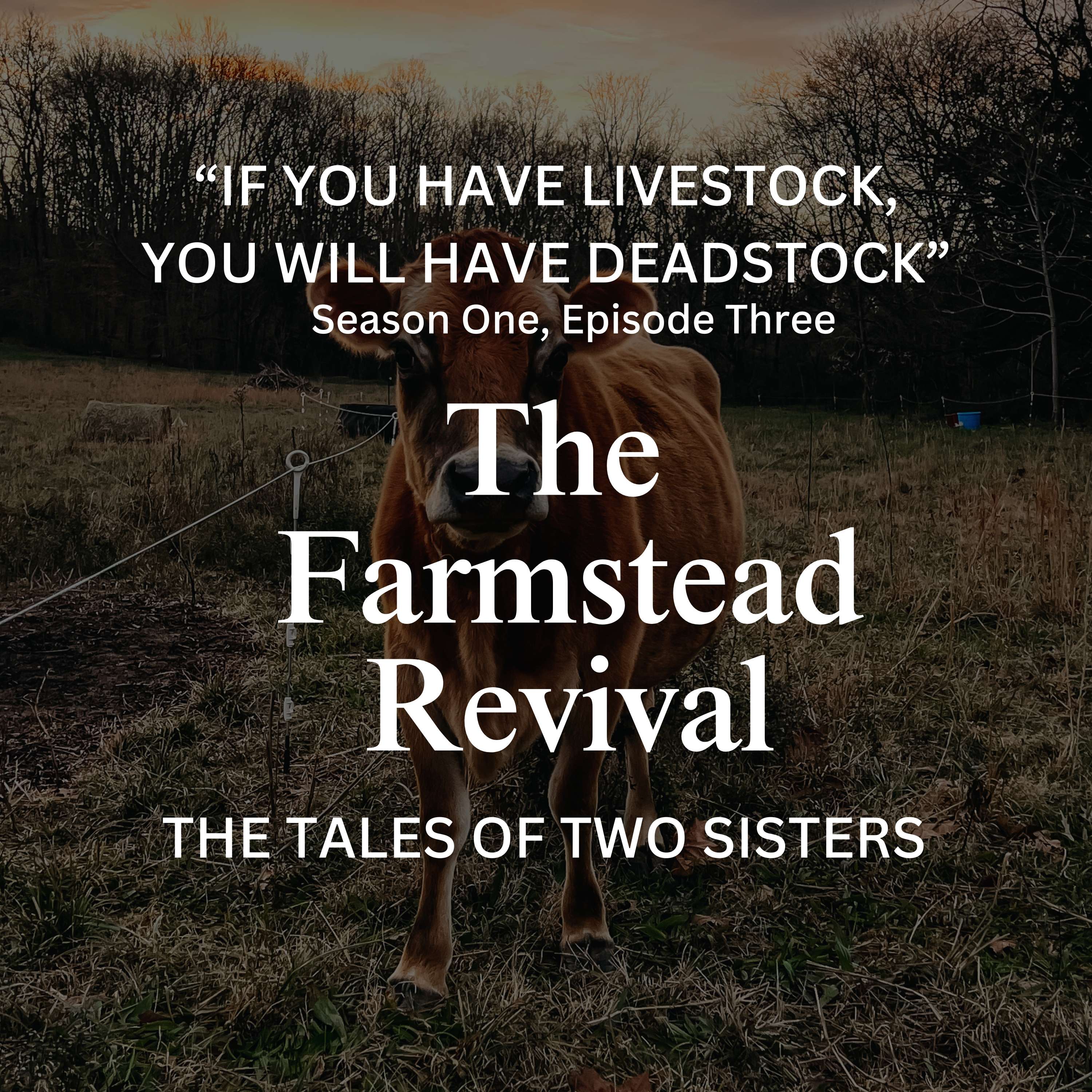 The Farmstead Revival: The Tales of Two Sisters