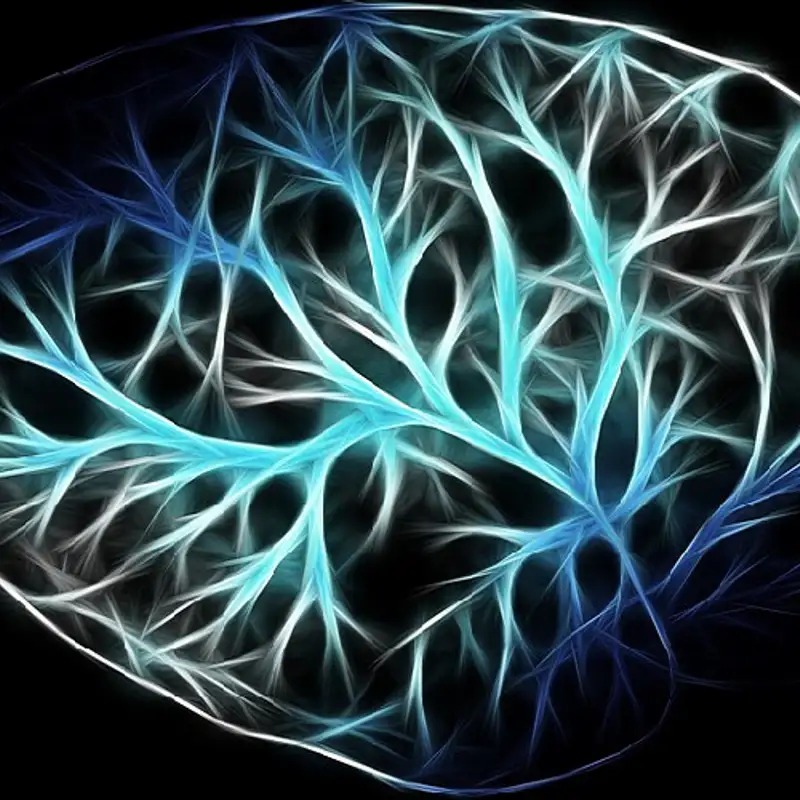 NEUROSCIENCES - Qu'est-ce que la maladie d'Alzheimer?