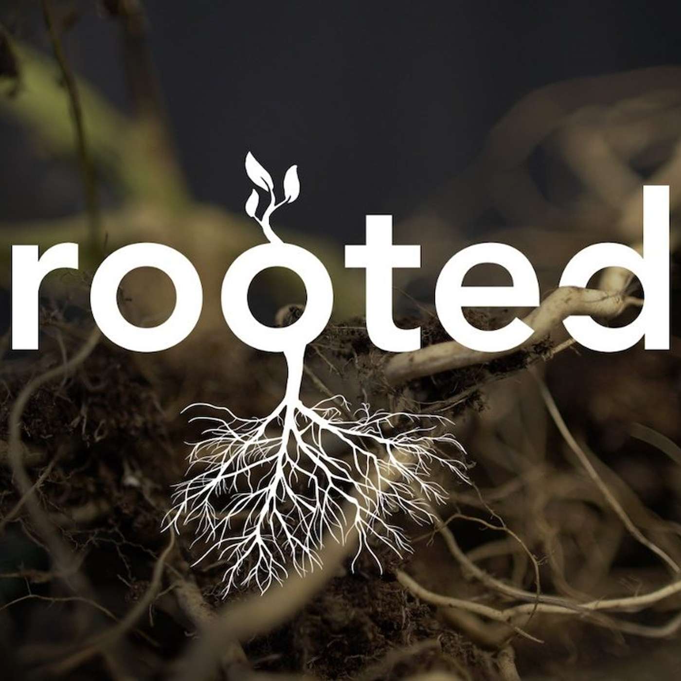 Sunday, August 24, 2025 - Richmond First: On the Vine (Rooted, Part 1)
