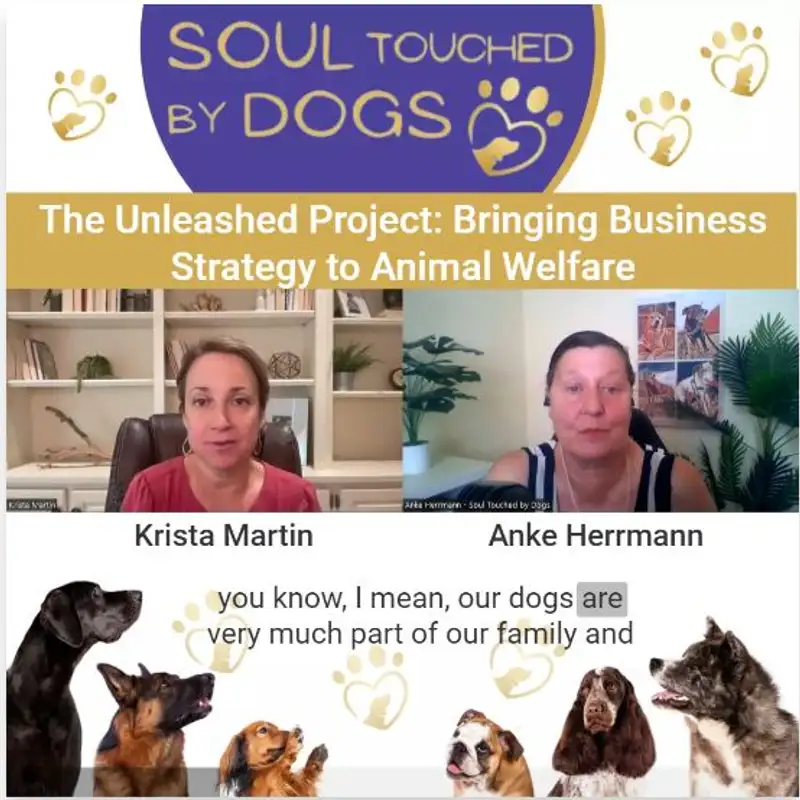 Krista Martin - The Unleashed Project: Bringing Business Strategy to Animal Welfare