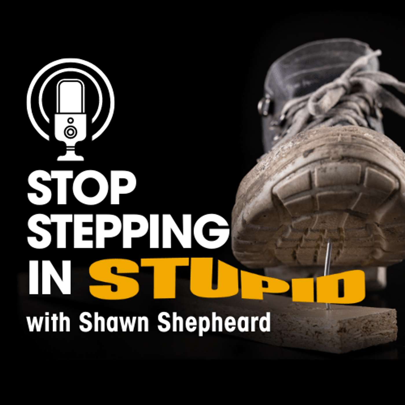 Stop Stepping in Stupid