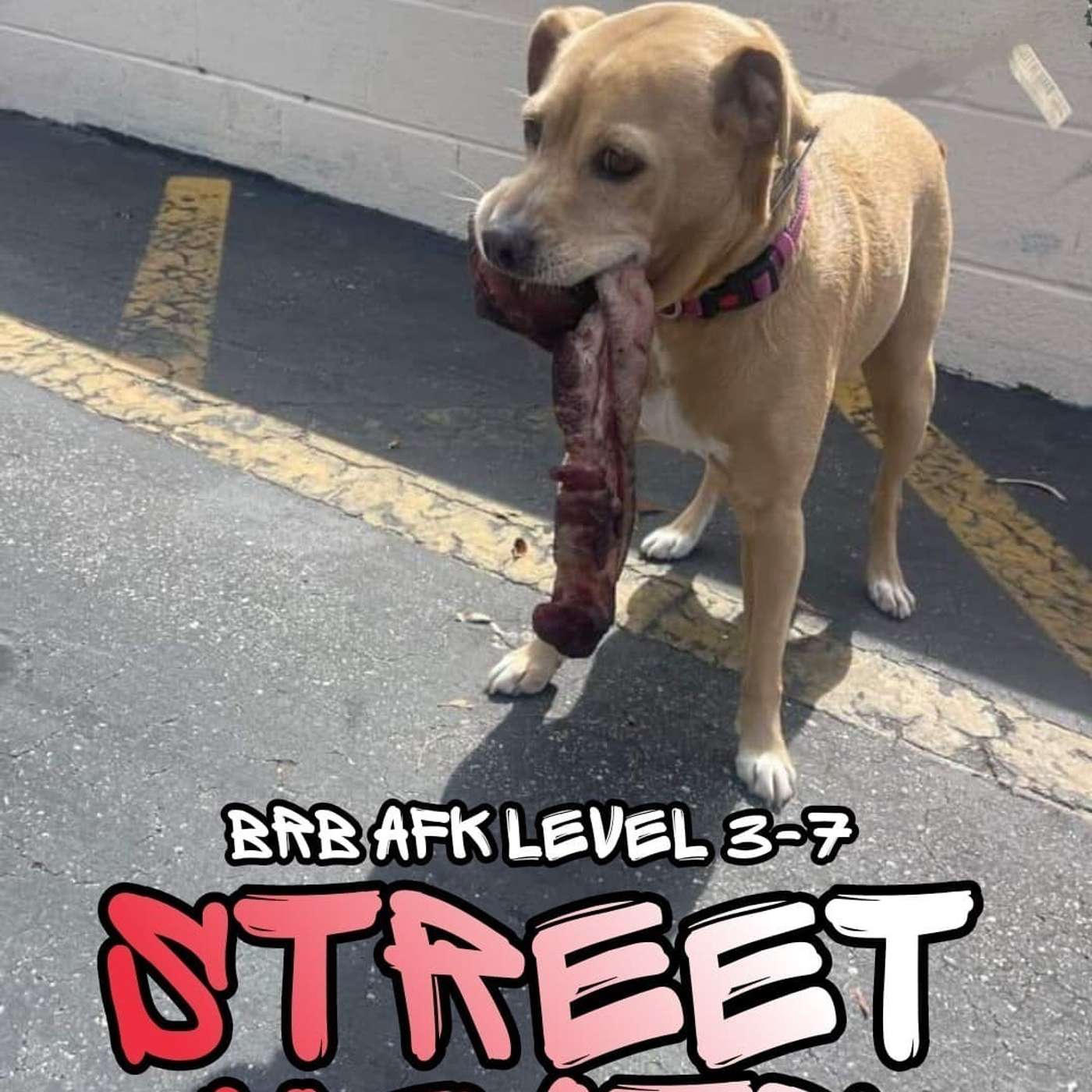 BRB AFK: Video Games and More