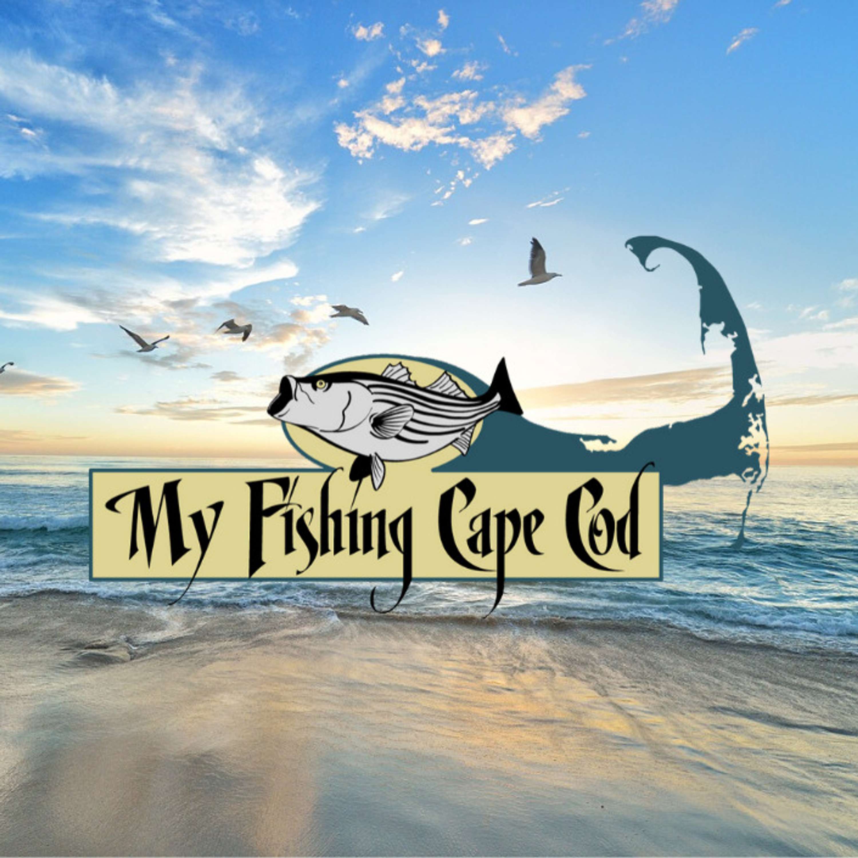 Finding Demo Surf Fishing