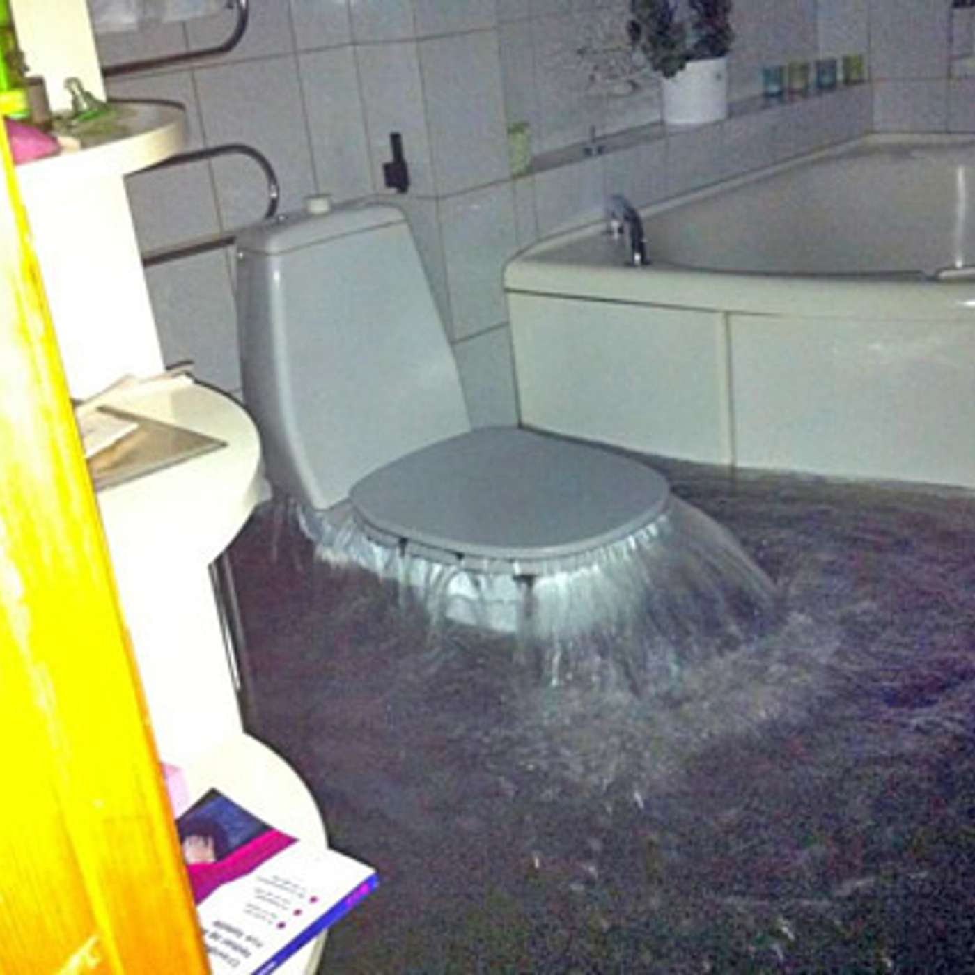 NOL #37 - We're Going To Plug Your Toilet, Preach The Gospel, And Get You High