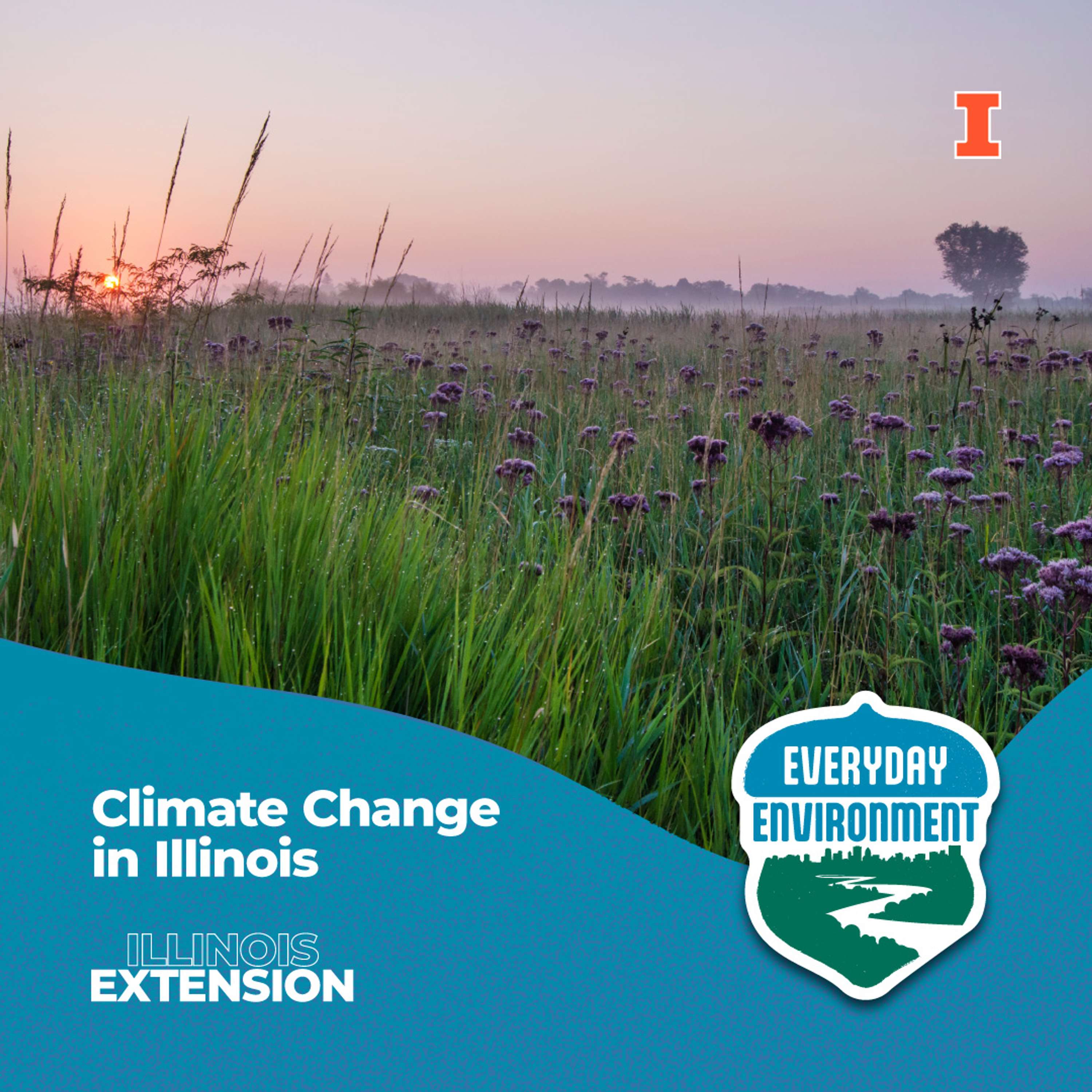 Everyday Environment Podcast