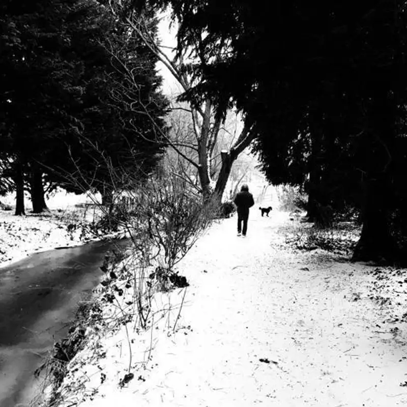 walking in a winter wonderland