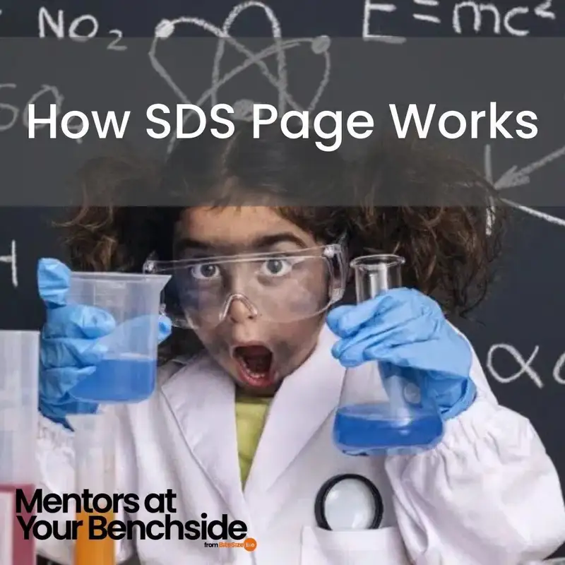 How SDS-PAGE Works