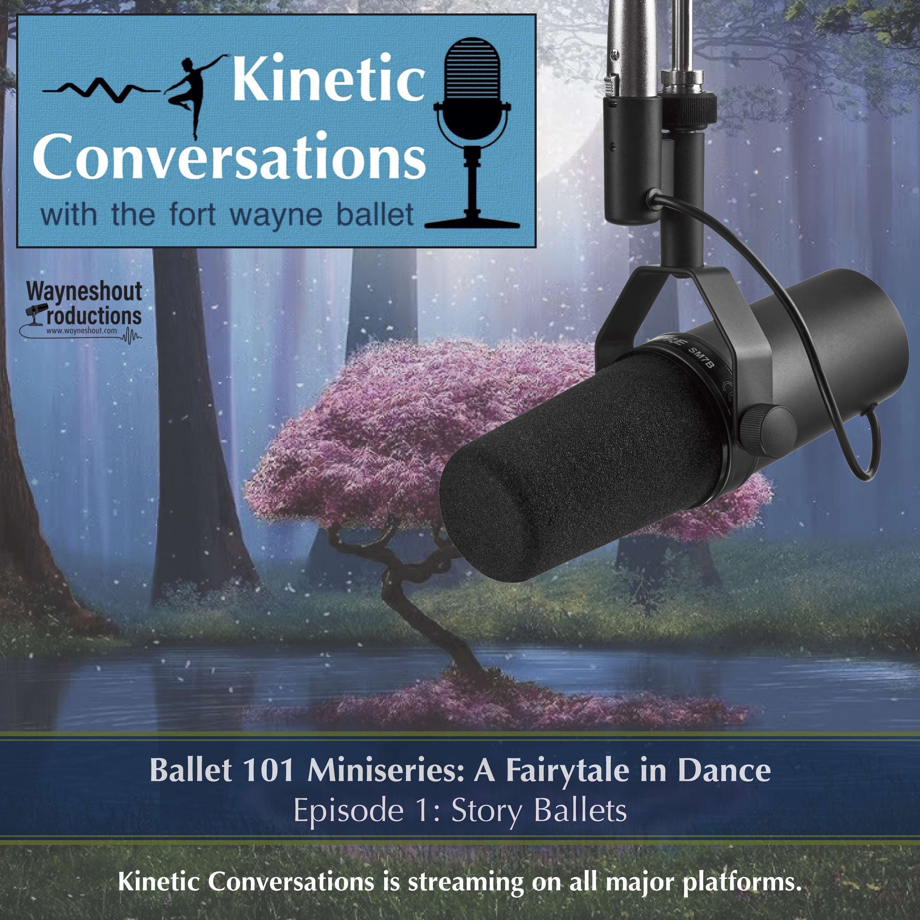 Ballet 101 Miniseries: A Fairytale in Dance, Episode 1: Story Ballets