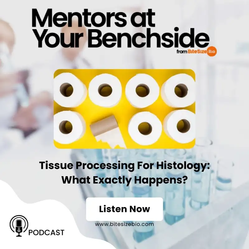 Tissue Processing For Histology: What Exactly Happens?