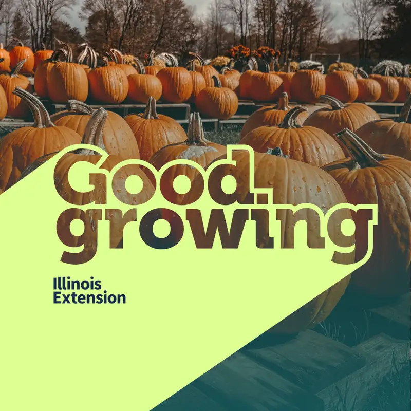 Ep. 151 How to grow and pick the perfect pumpkin | #GoodGrowing