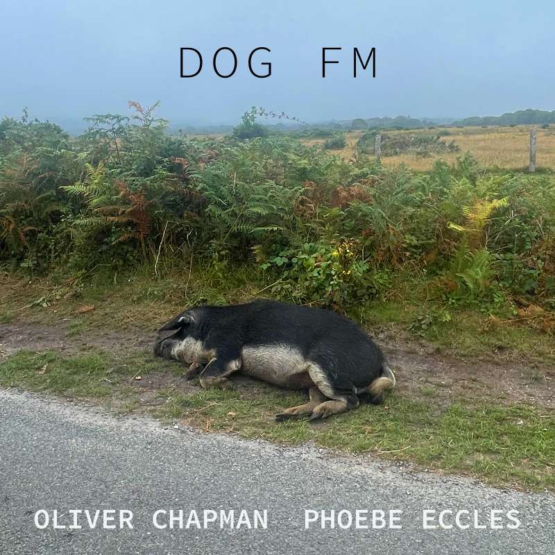 Phoebe Eccles