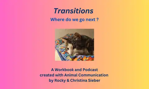 Transitions - Where do we go next ?