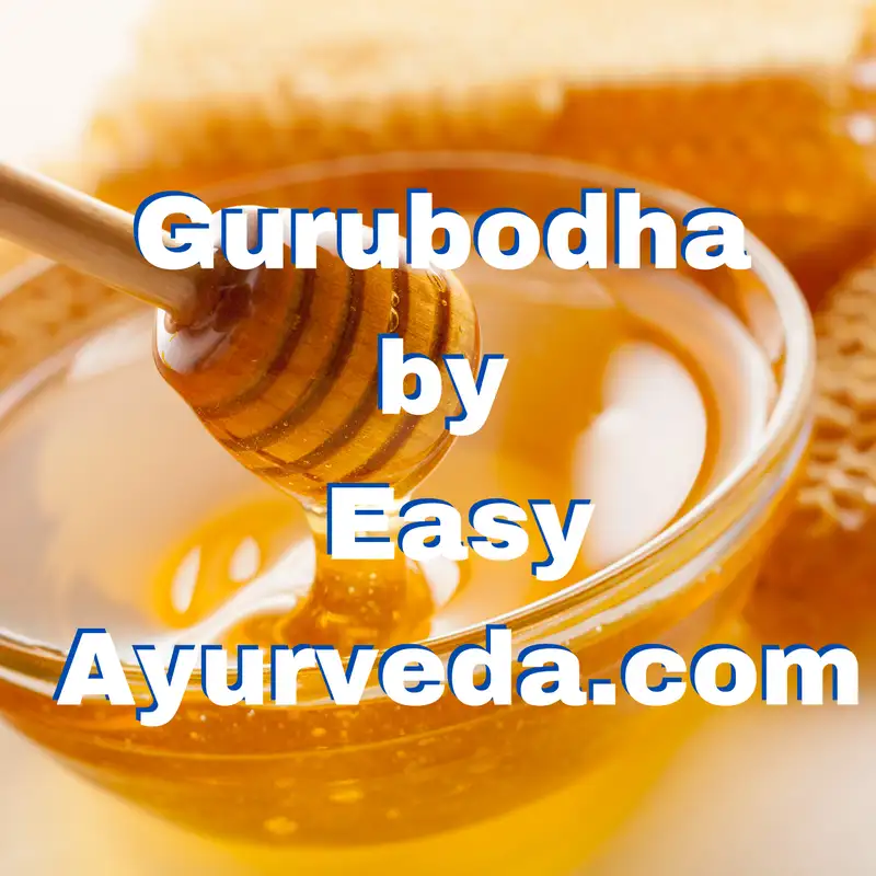 Gurubodha 50: Honey Hot or Cold? Honey Water | Punarnava - diabetes? Black Cumin, Caraway vs Cumin