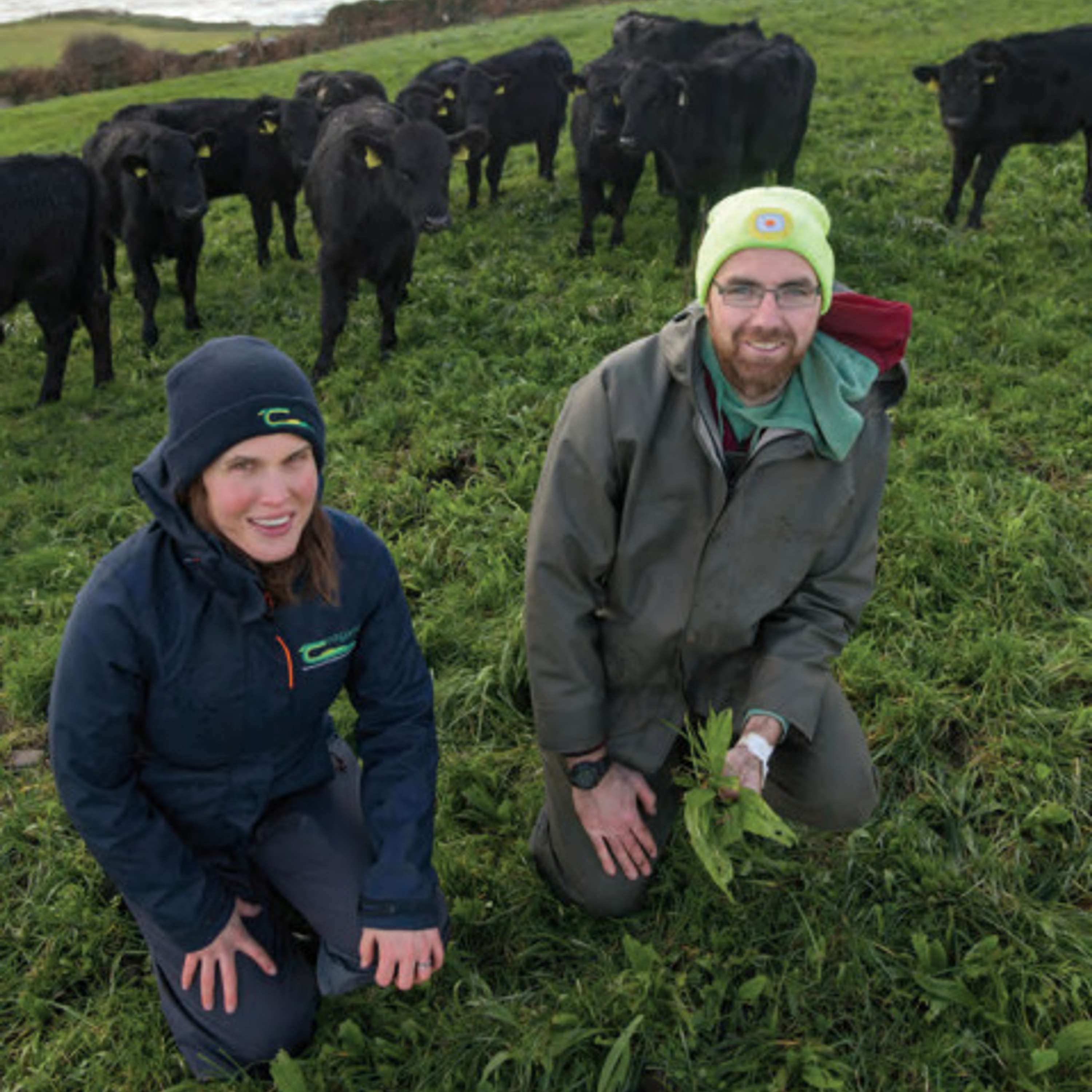 Increasing animal performance and incorporating clover & multi-species on James O’Sullivan’s farm