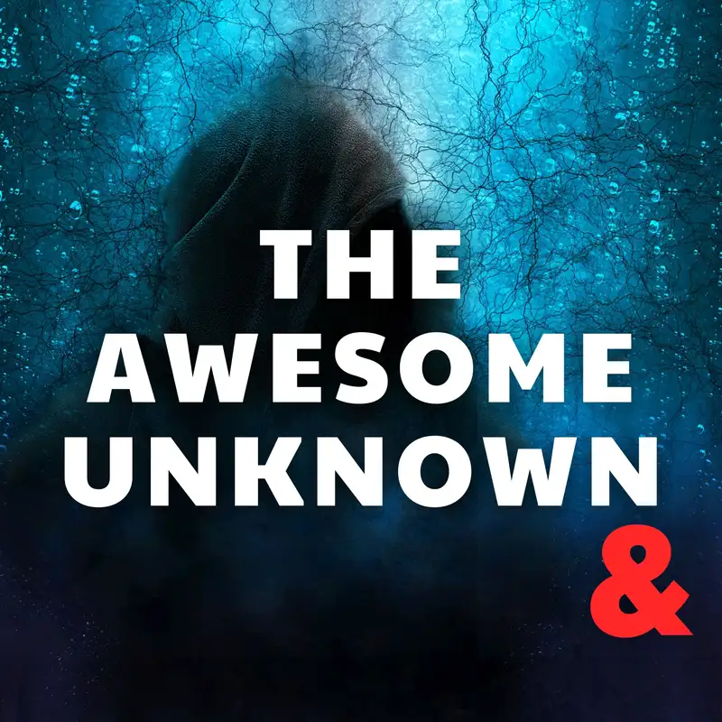 The Awesome Unknown