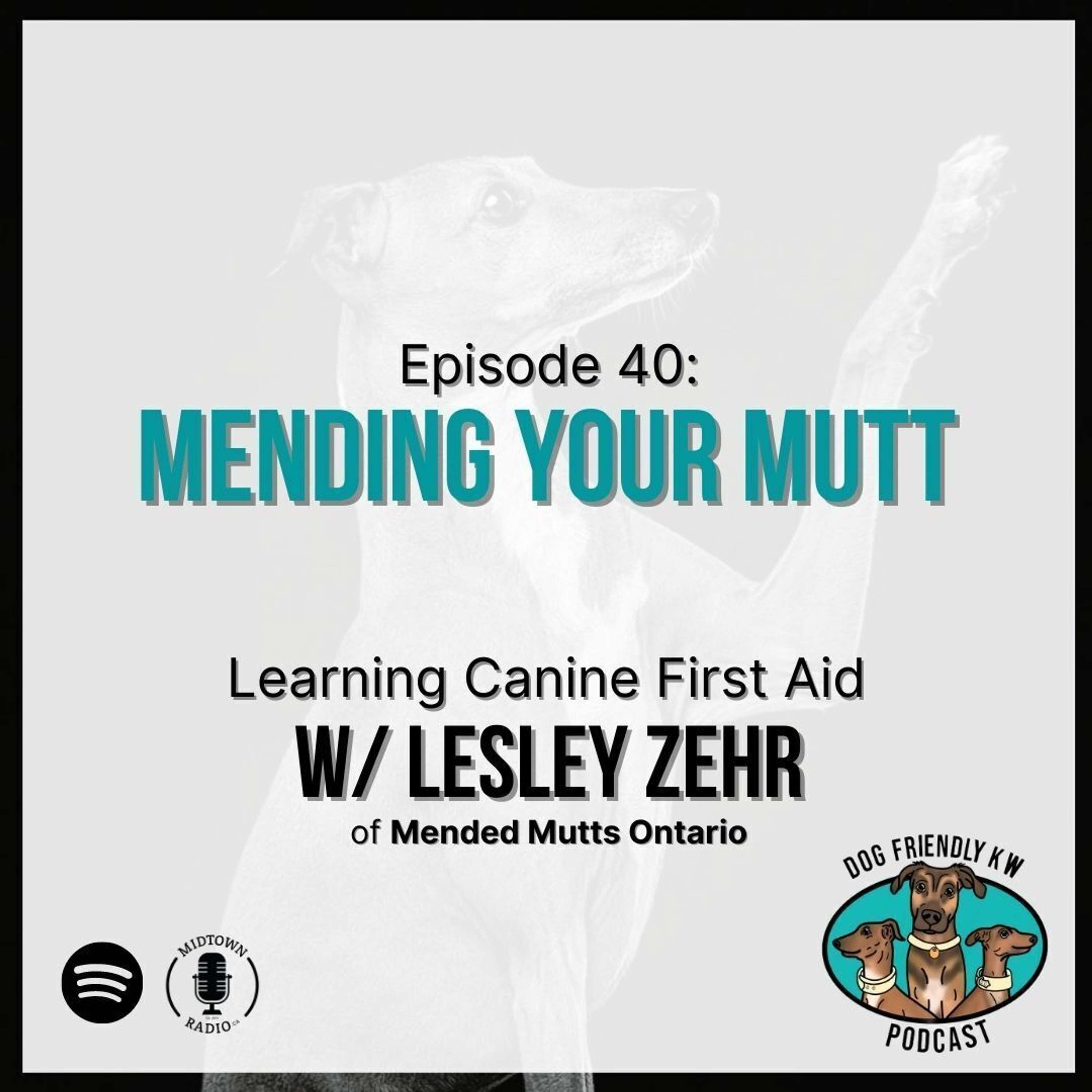 Mending Your Mutt: Learning CANINE FIRST AID w/ Lesley Zehr of @MendedMutts