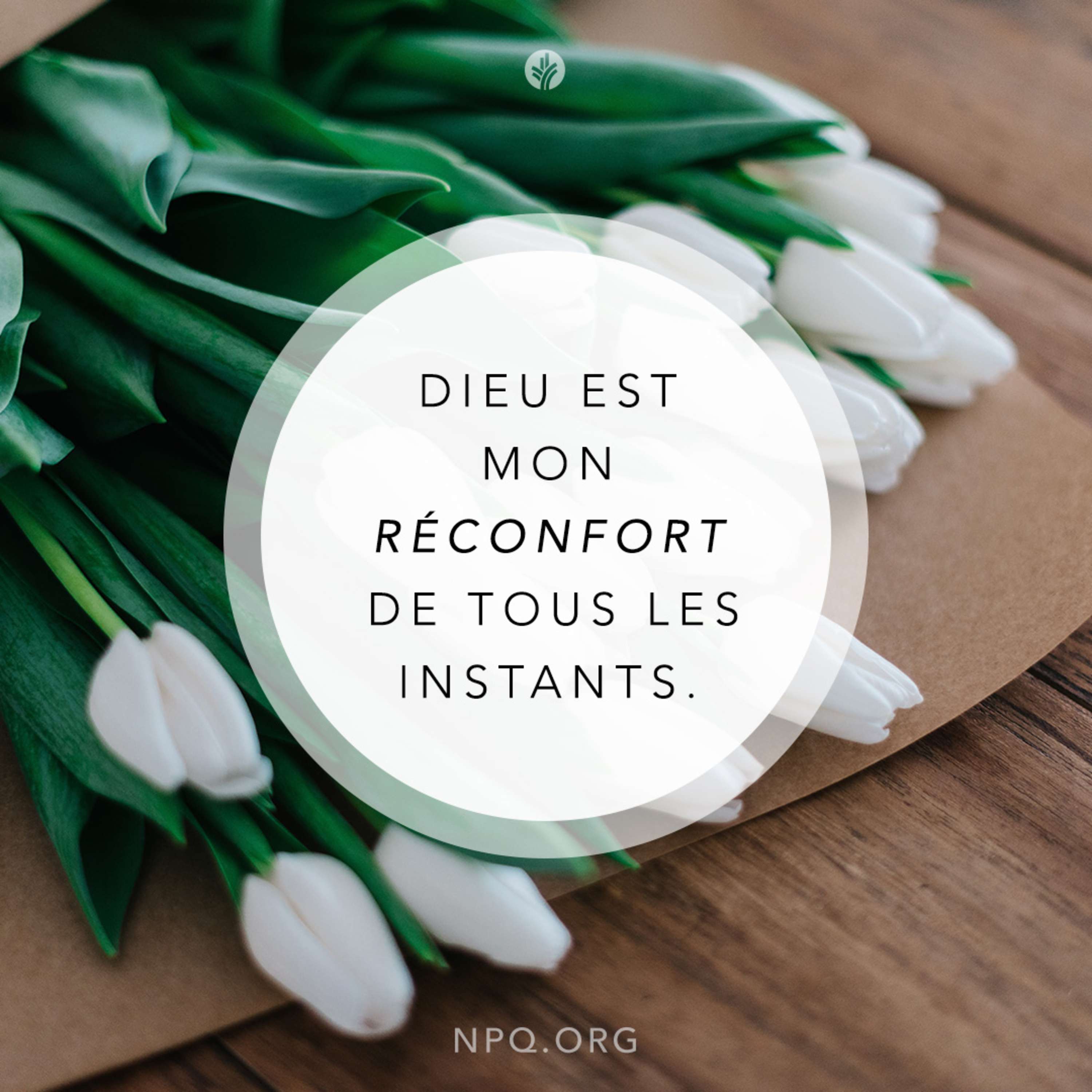 Notre Pain Quotidien podcast