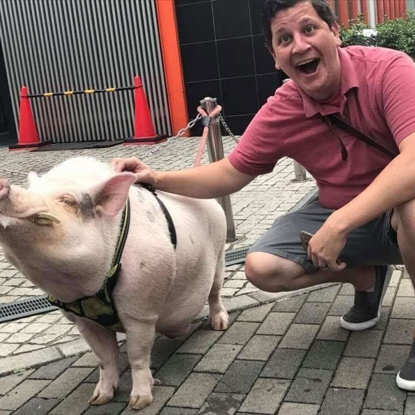 A Very Friendsgiving 2023 Edition A Very Friendsgiving 2023 Edition