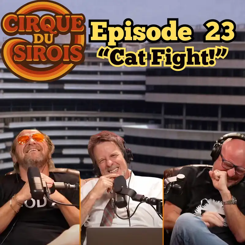 "Cat Fight!"