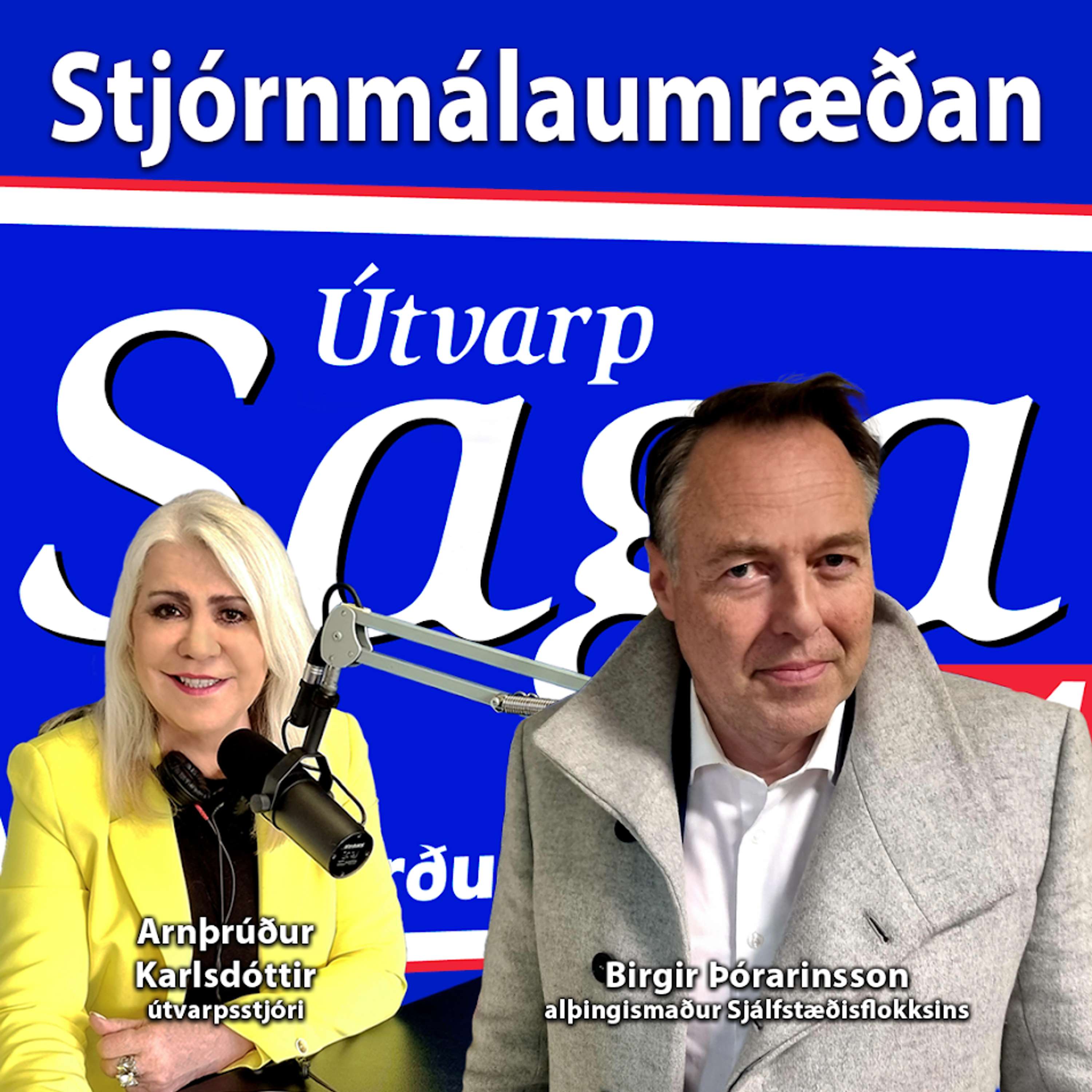 Stjórnmálaumræðan - Birgir Þórarinsson