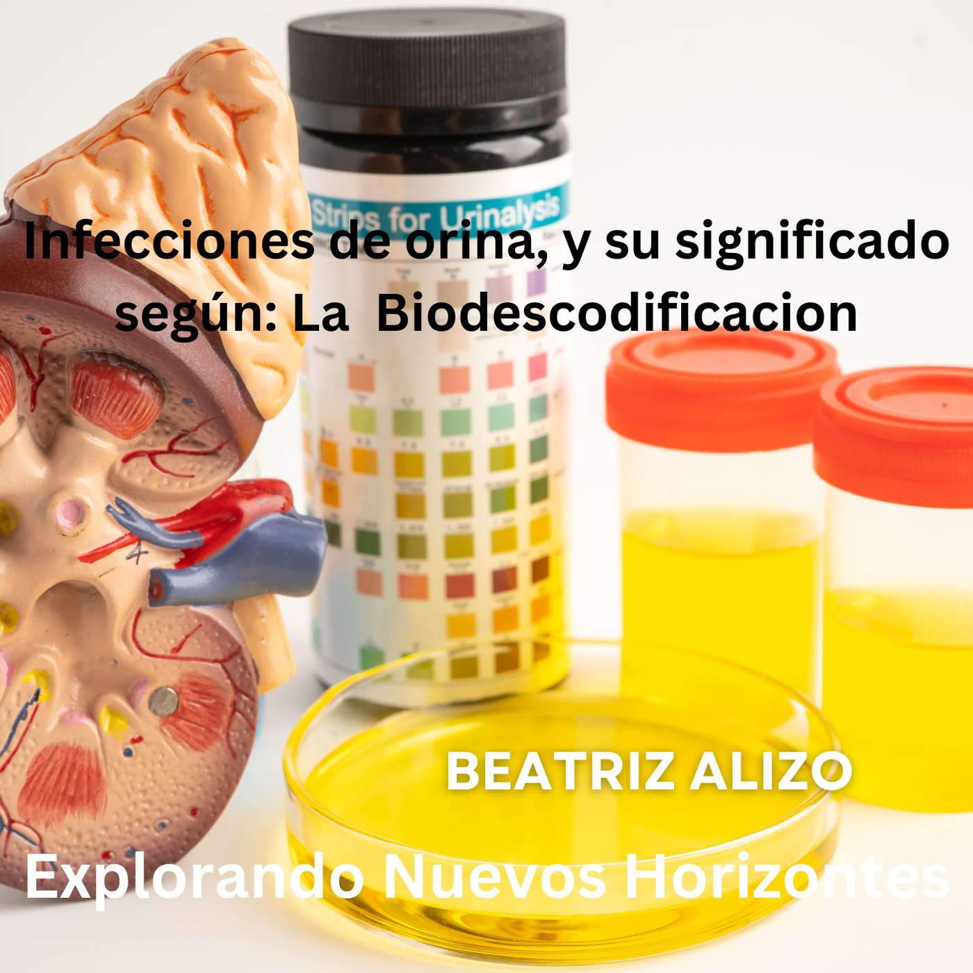 Infecciones de orina, y su significado según: La  Biodescodificacion
