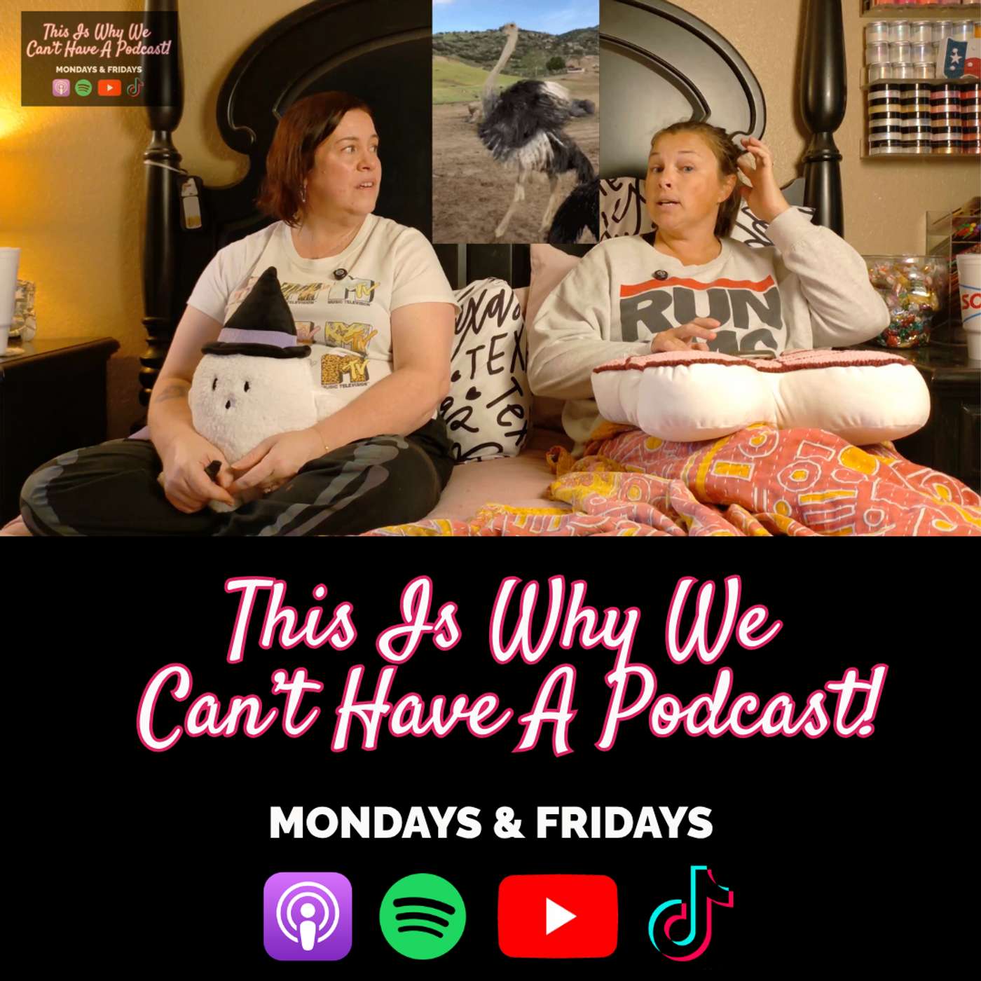 This Is Why We Can\'t Have A Podcast!