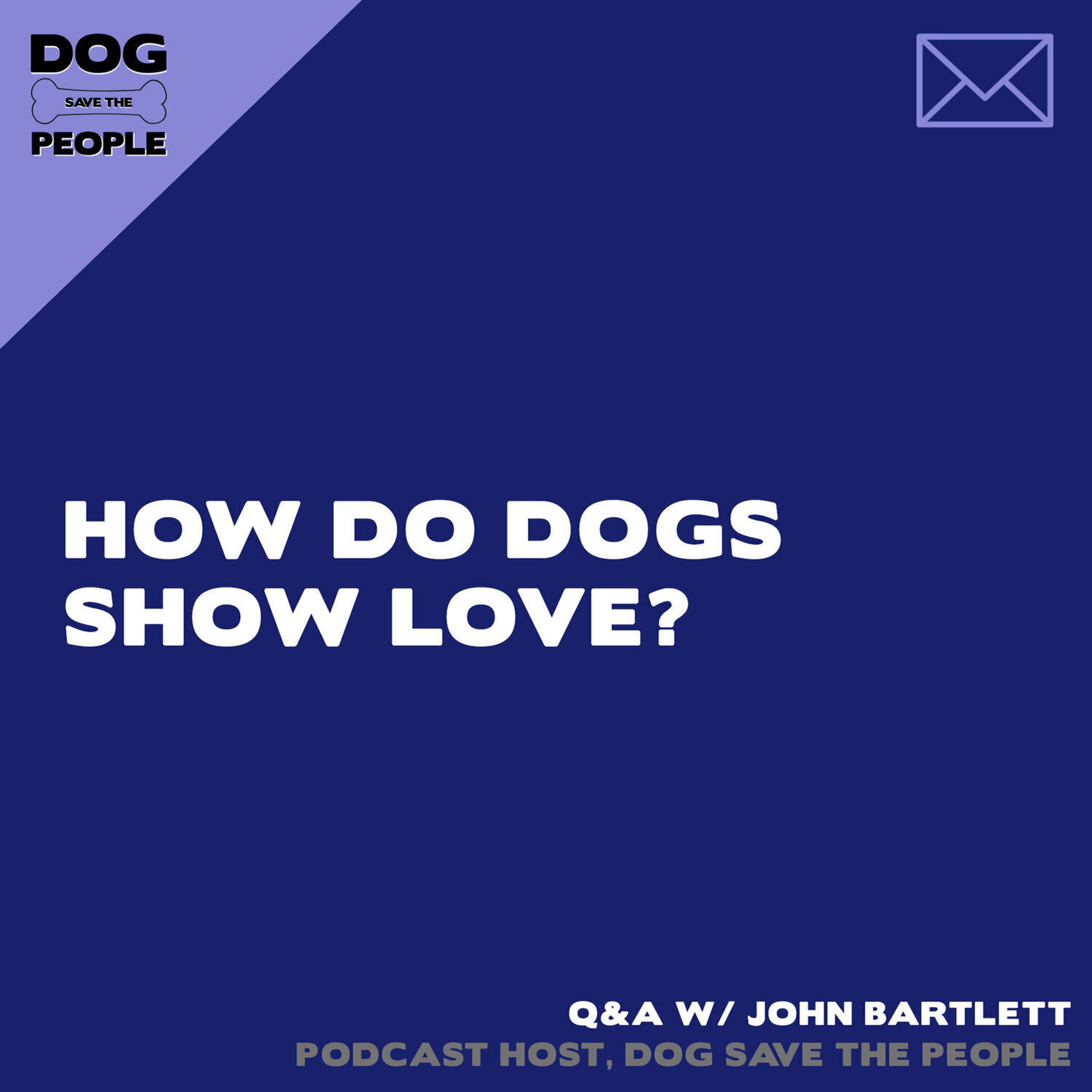 Q&A - How Do Dogs Show Love?
