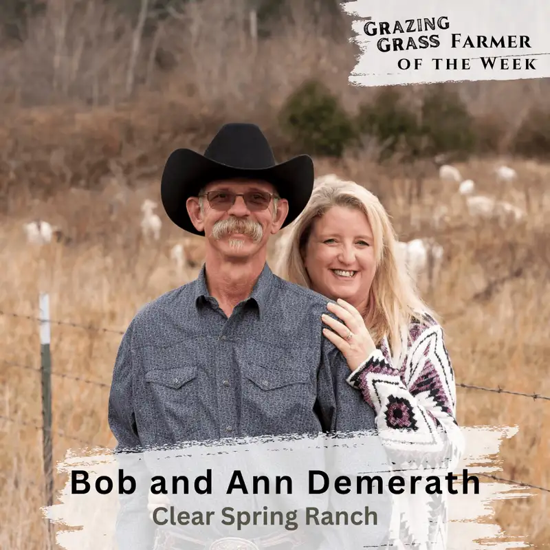 186. A Recipe, Not a Prescription: Grazing Insights from the Ozarks with Bob and Ann Demerath