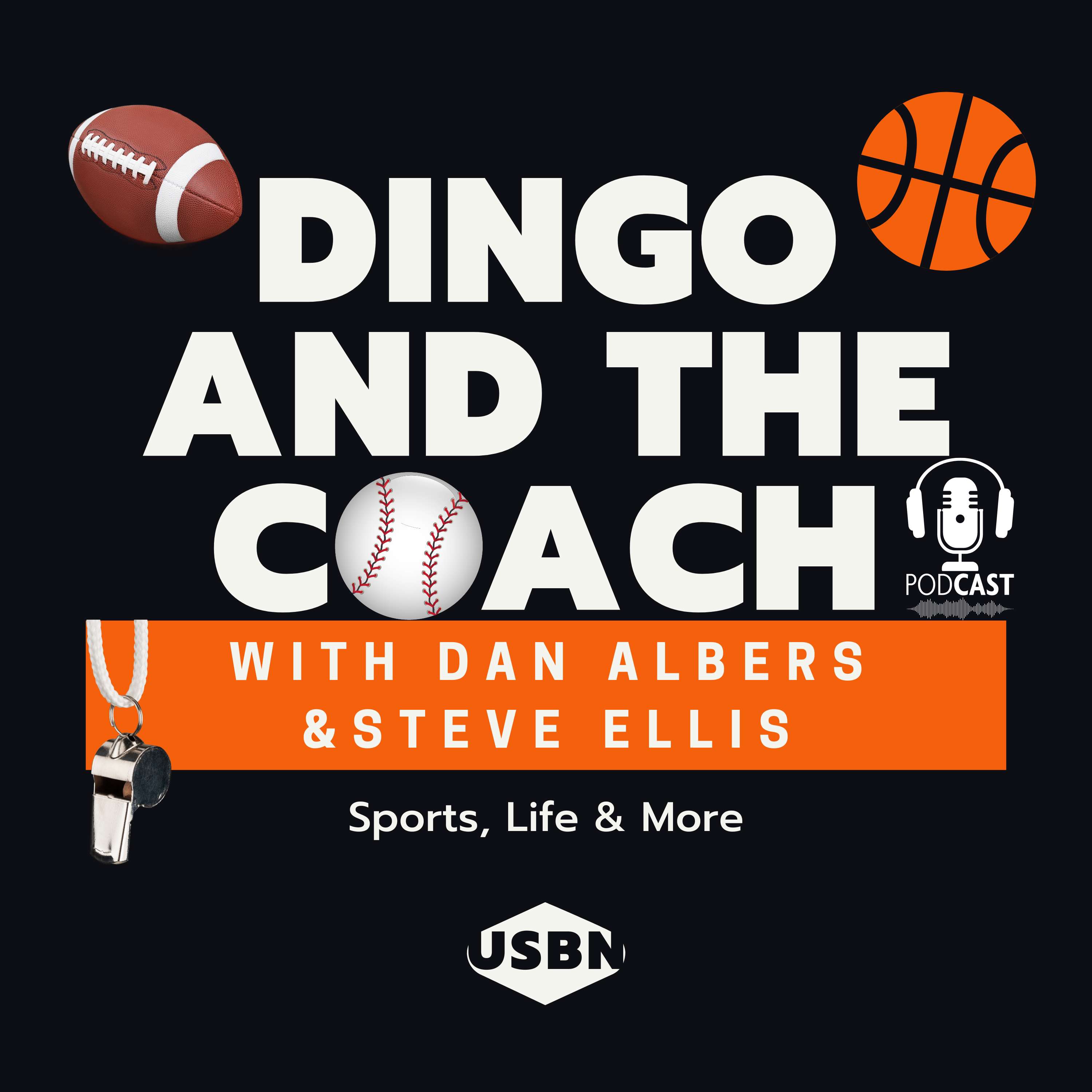Dingo and the Coach